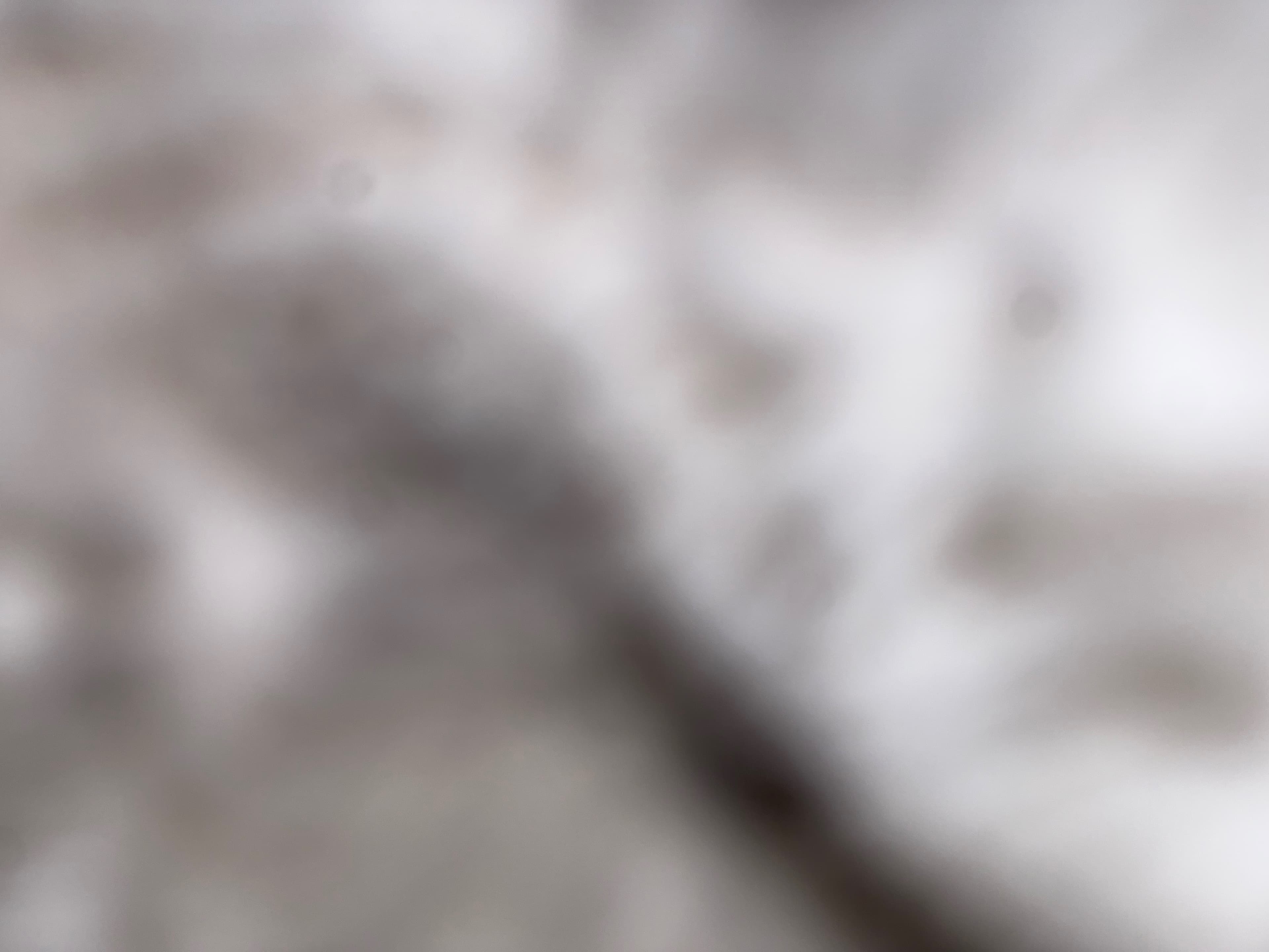 ๐๐ฆ banner image