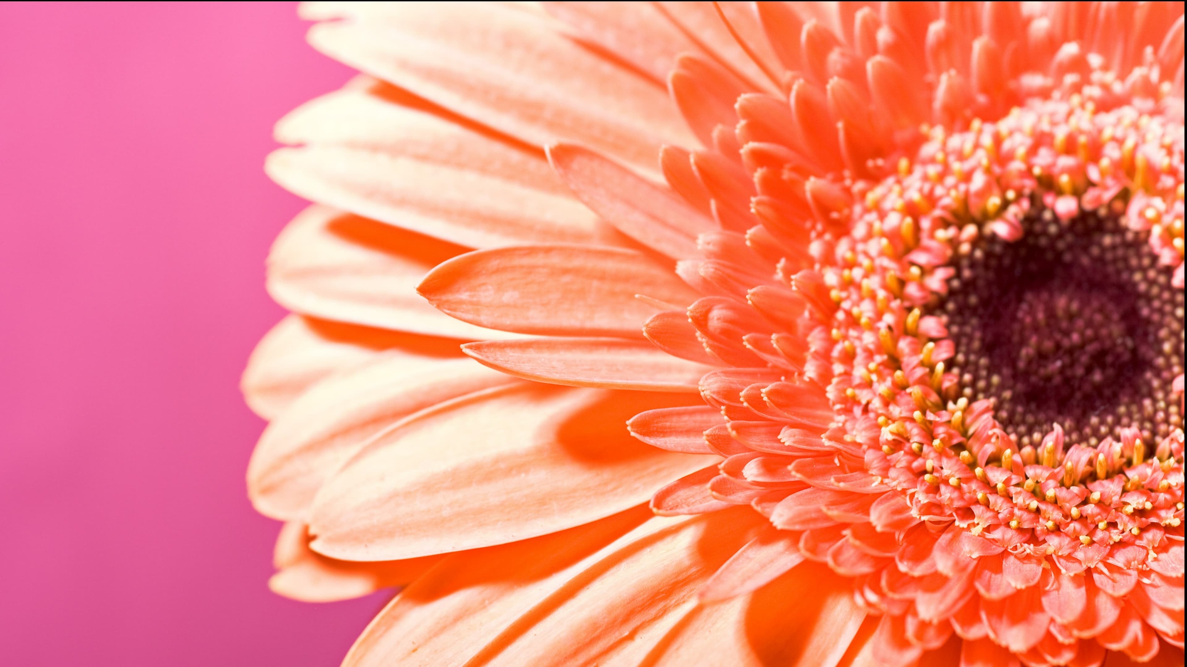 Sloan banner image
