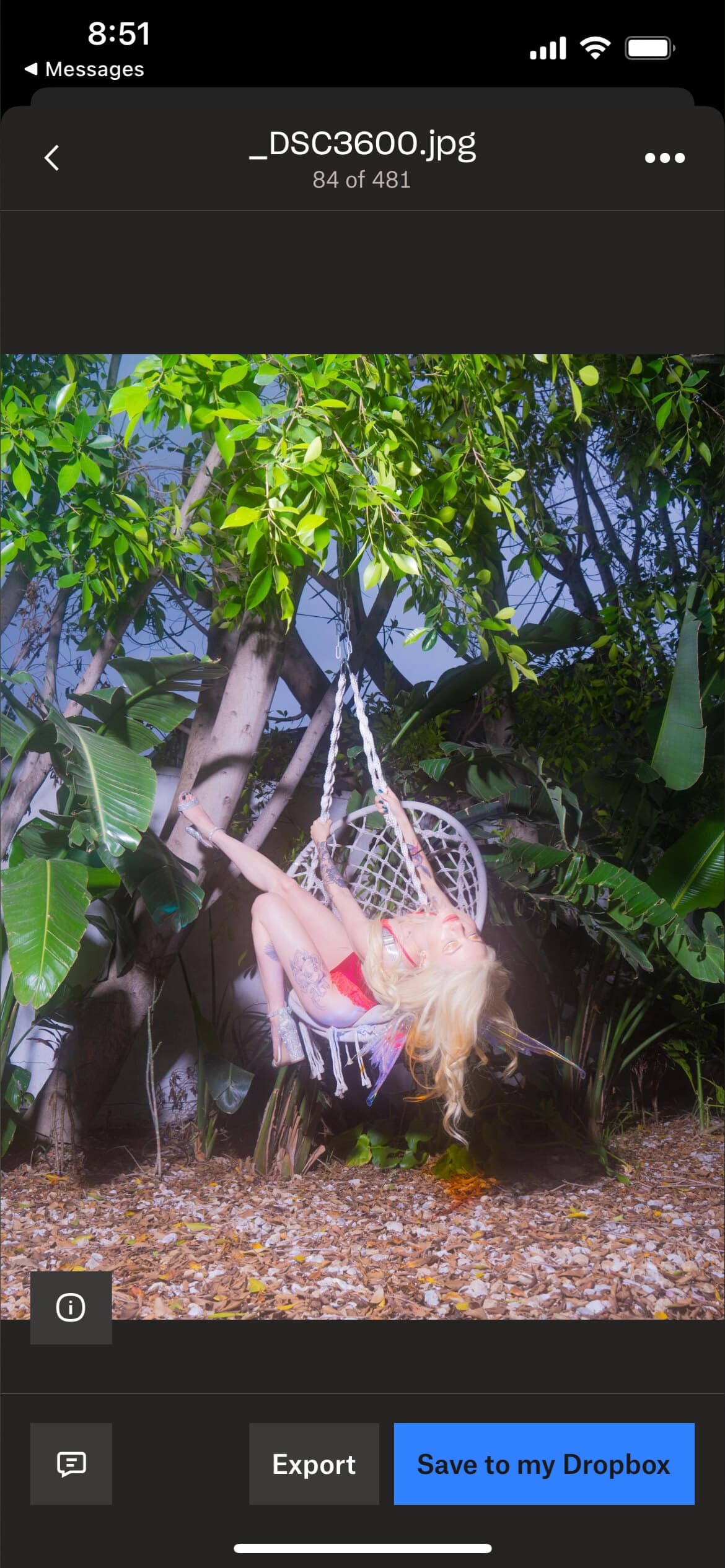 Lola Fae Free banner image