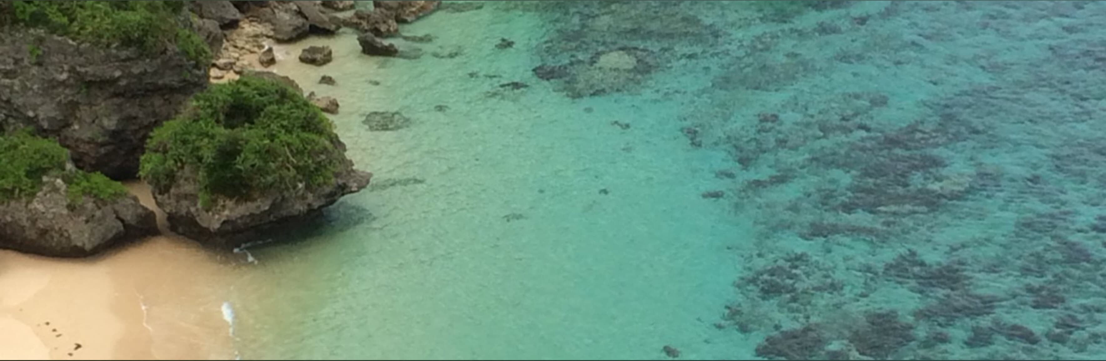 雄責め banner image