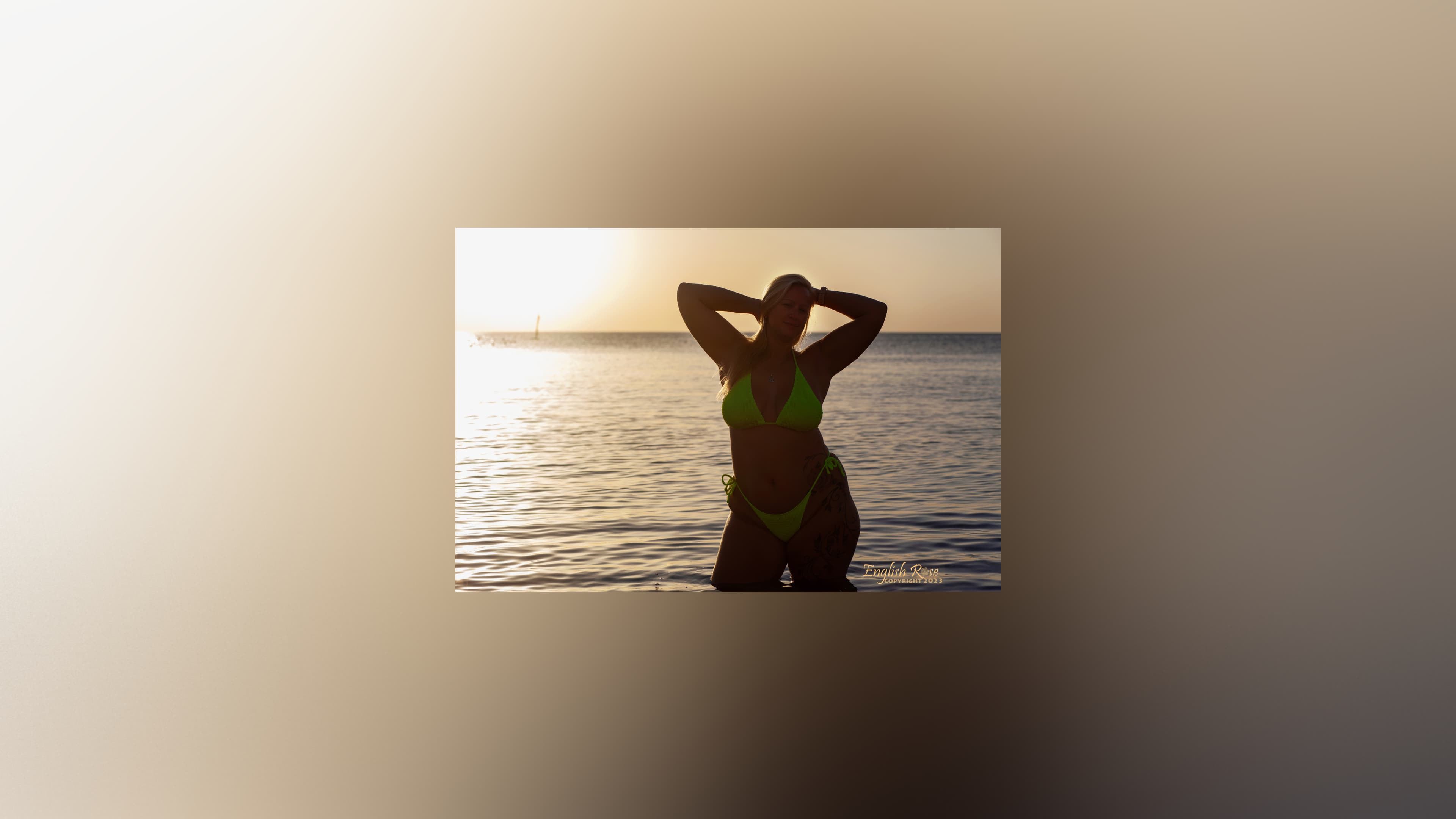 Curvy Rose banner image