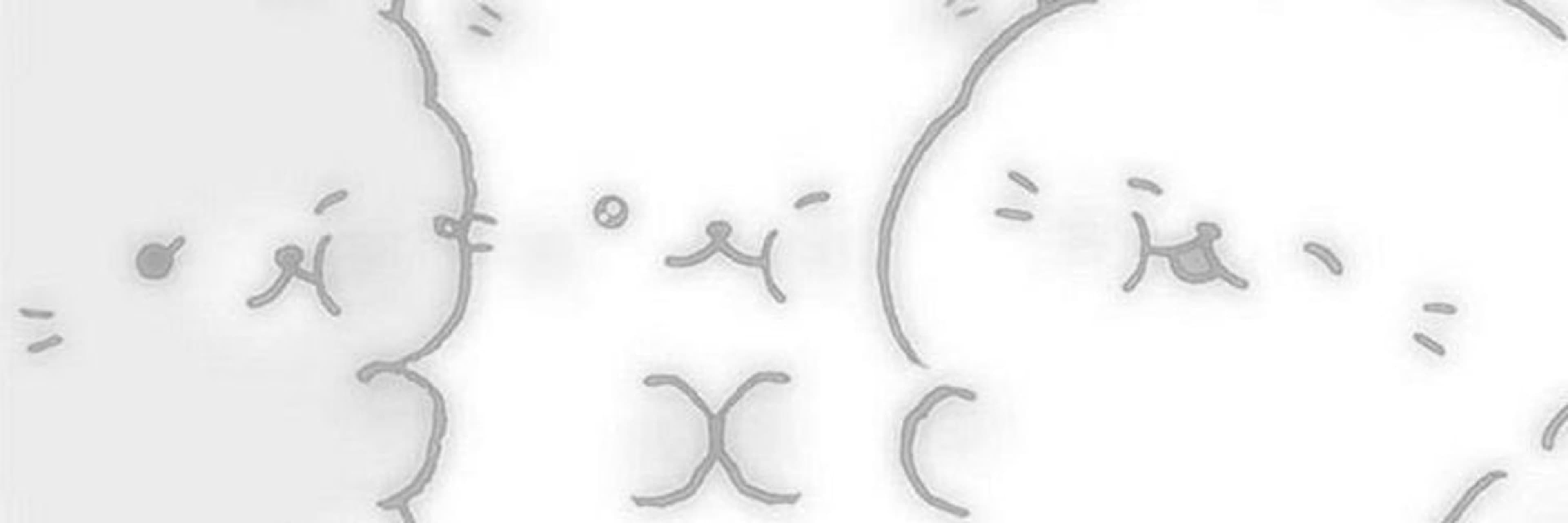 Angie ʚ♡⃛ɞ banner image
