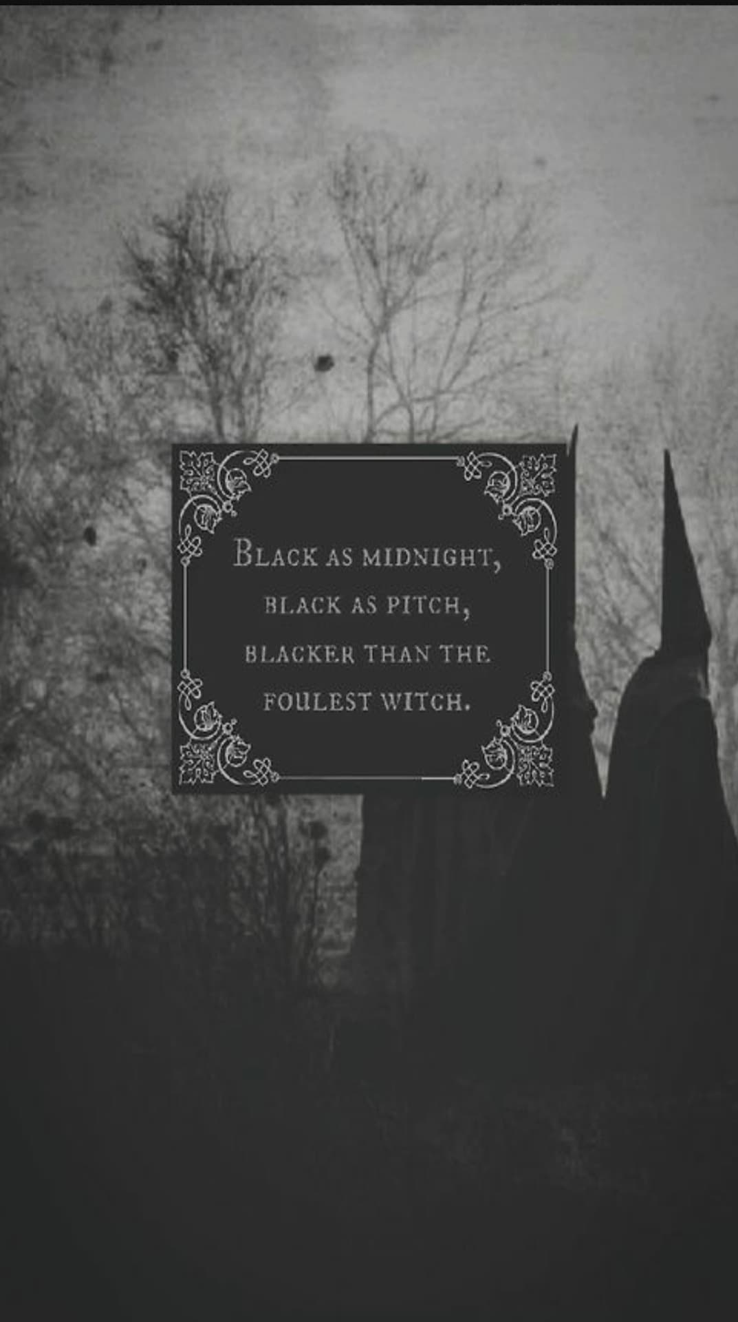 Max Colson banner image