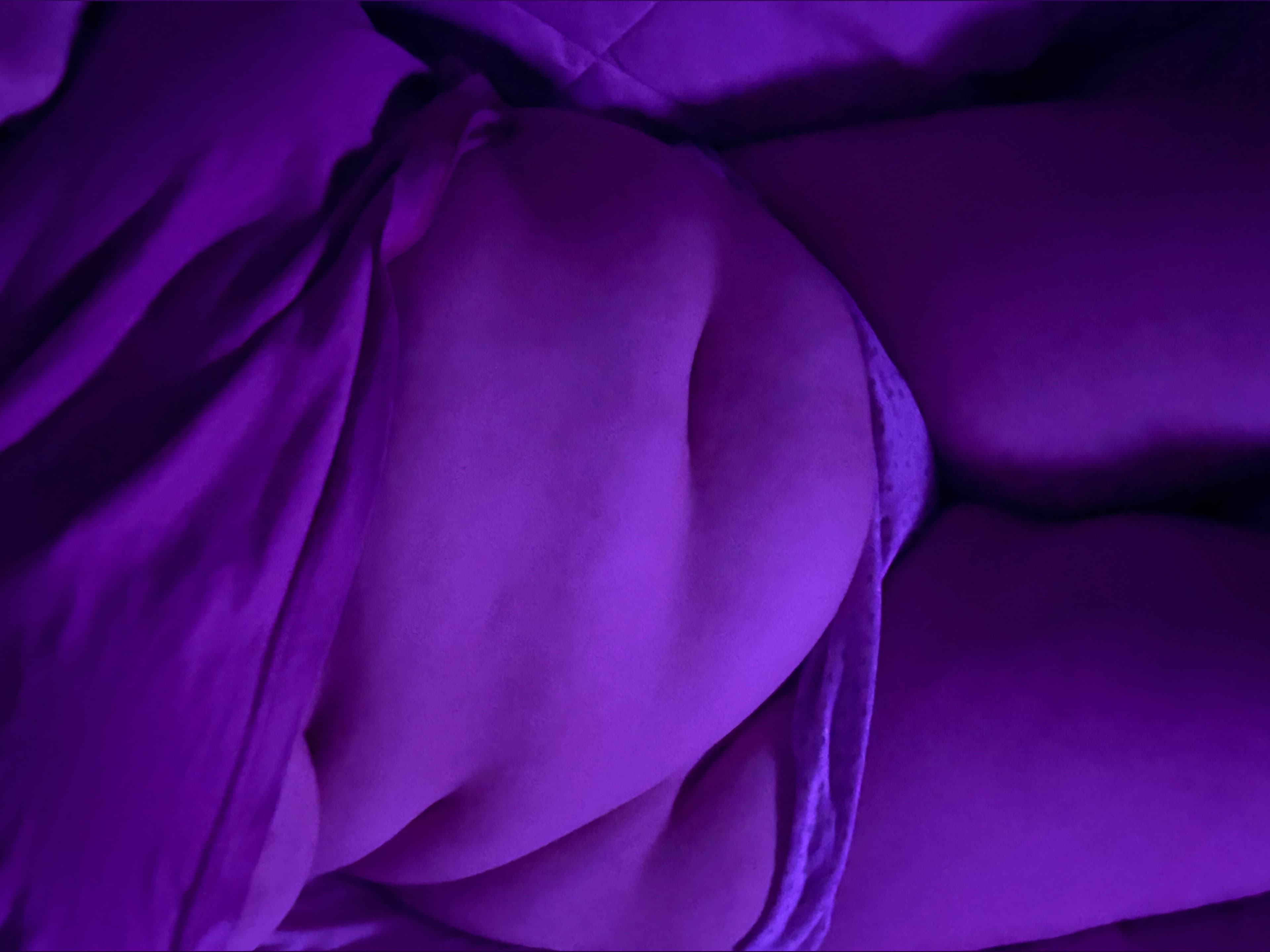SoftTummySecrets banner image