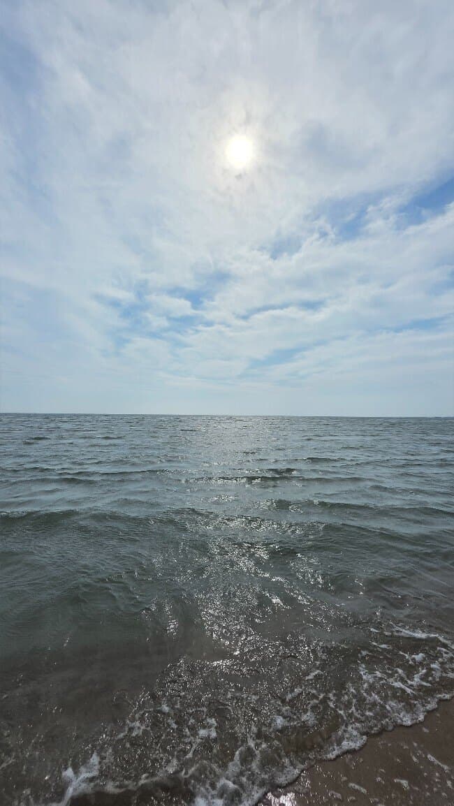 Coastal TaTa banner image