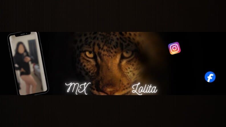 Lolaaa banner image