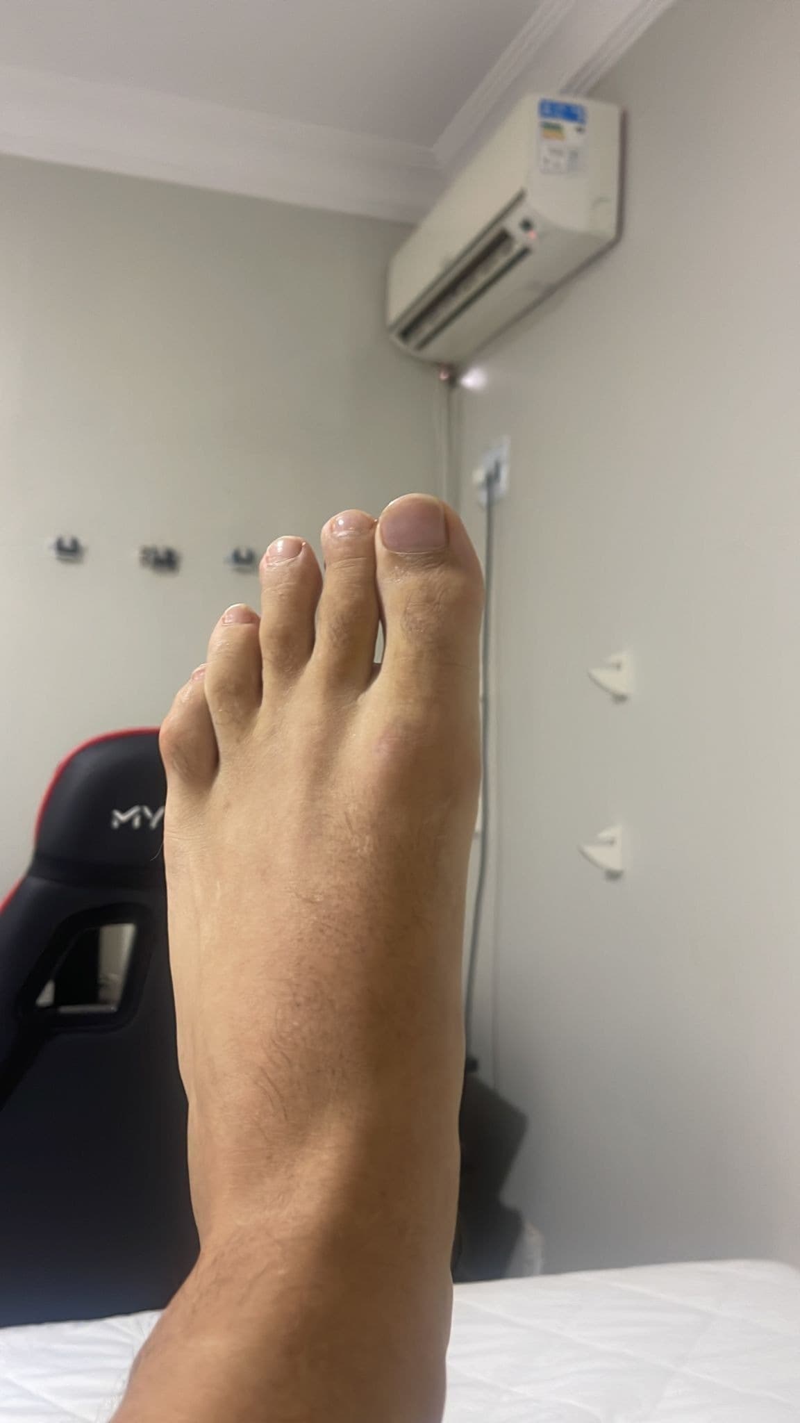 Royal Feet banner image