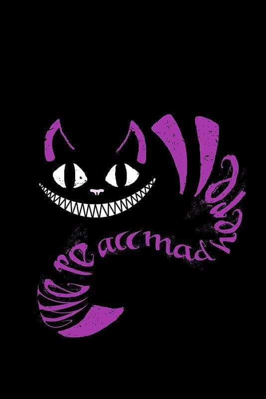 ThiccnSassy banner image