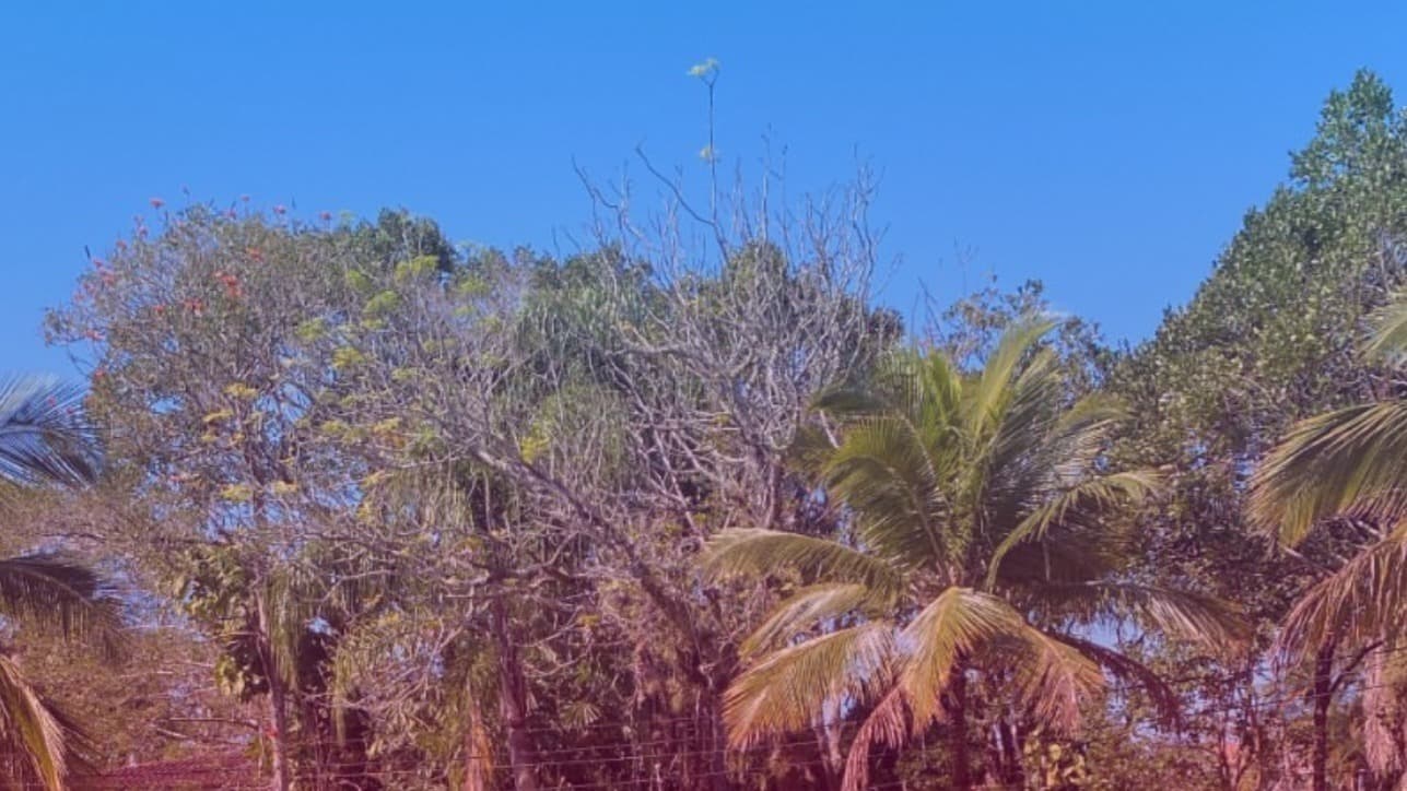 mikexs banner image
