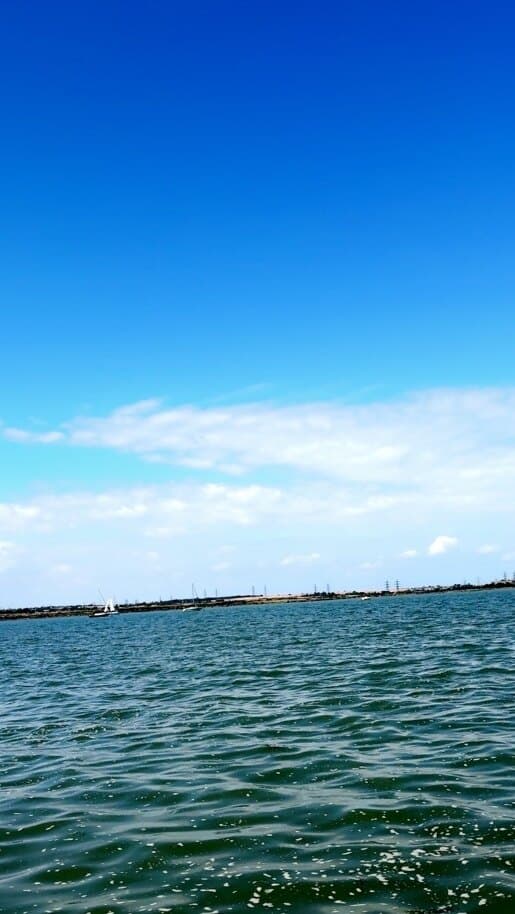 Baebee2002 banner image