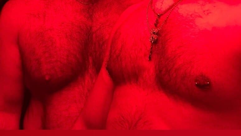 only2bears banner image