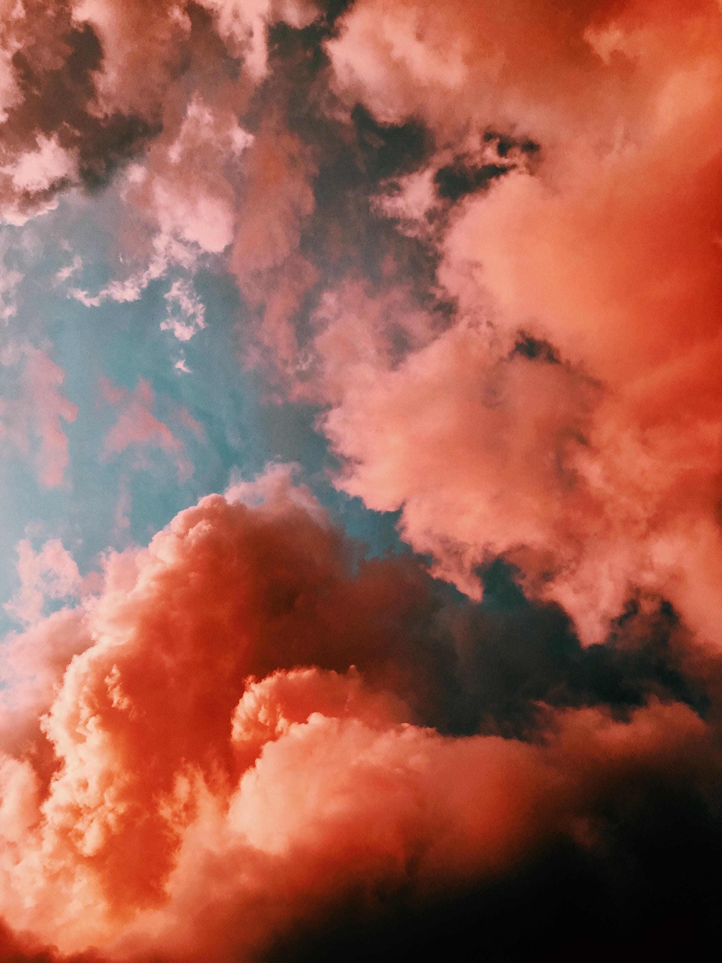 Amazonian_Goddess87 banner image
