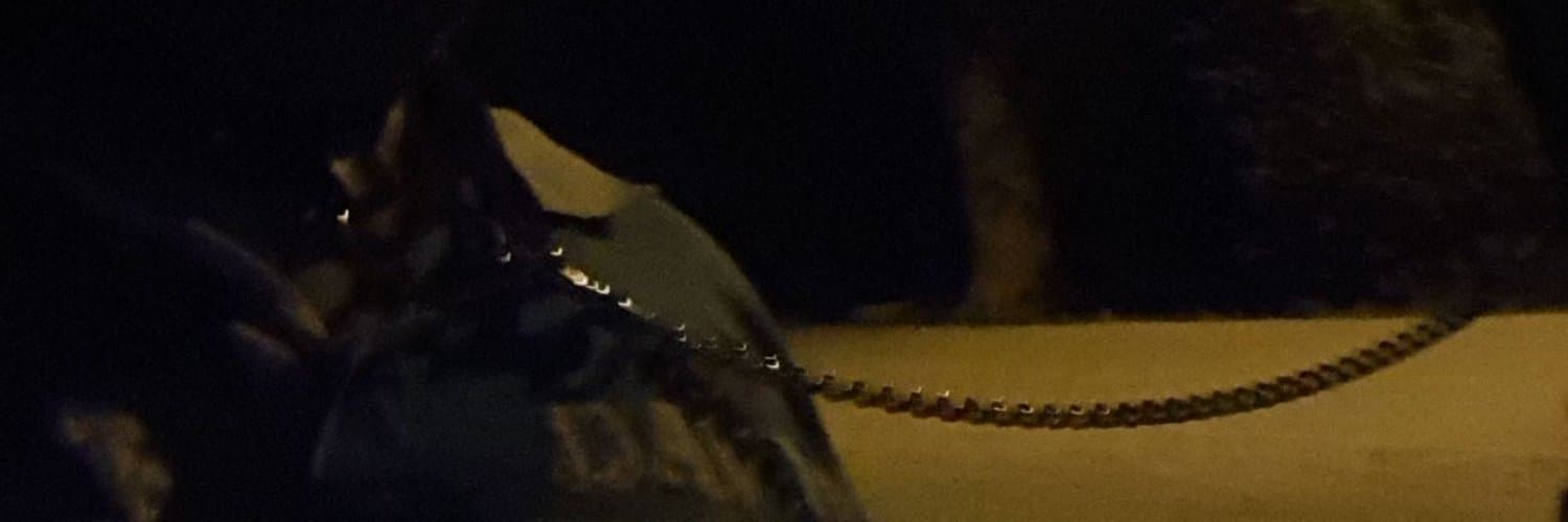 Sklave Maddin banner image