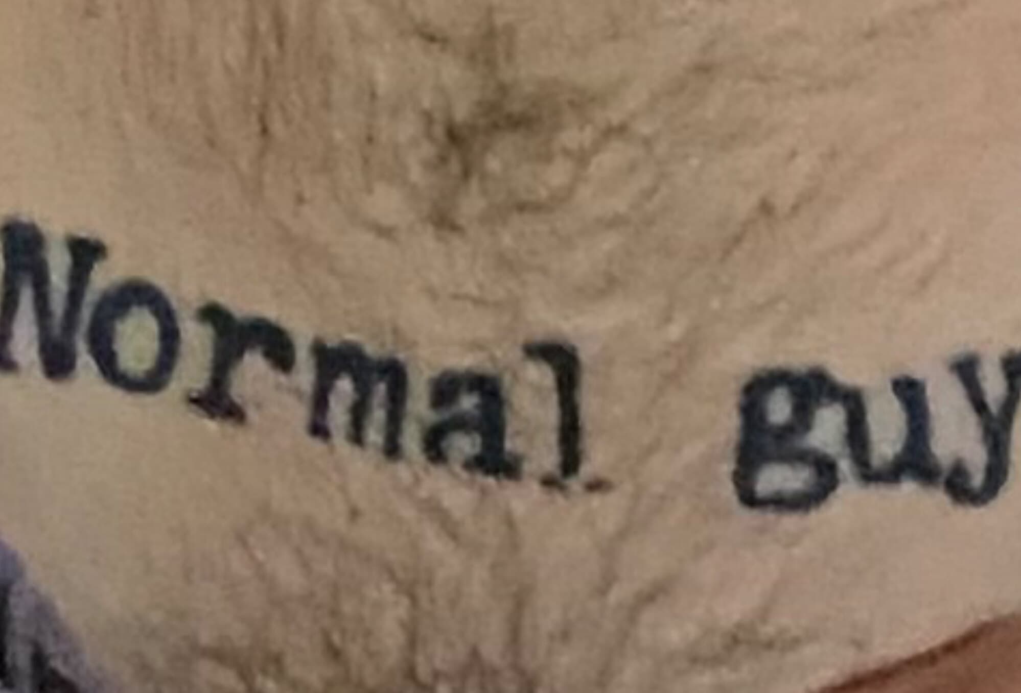 Normal Guy banner image
