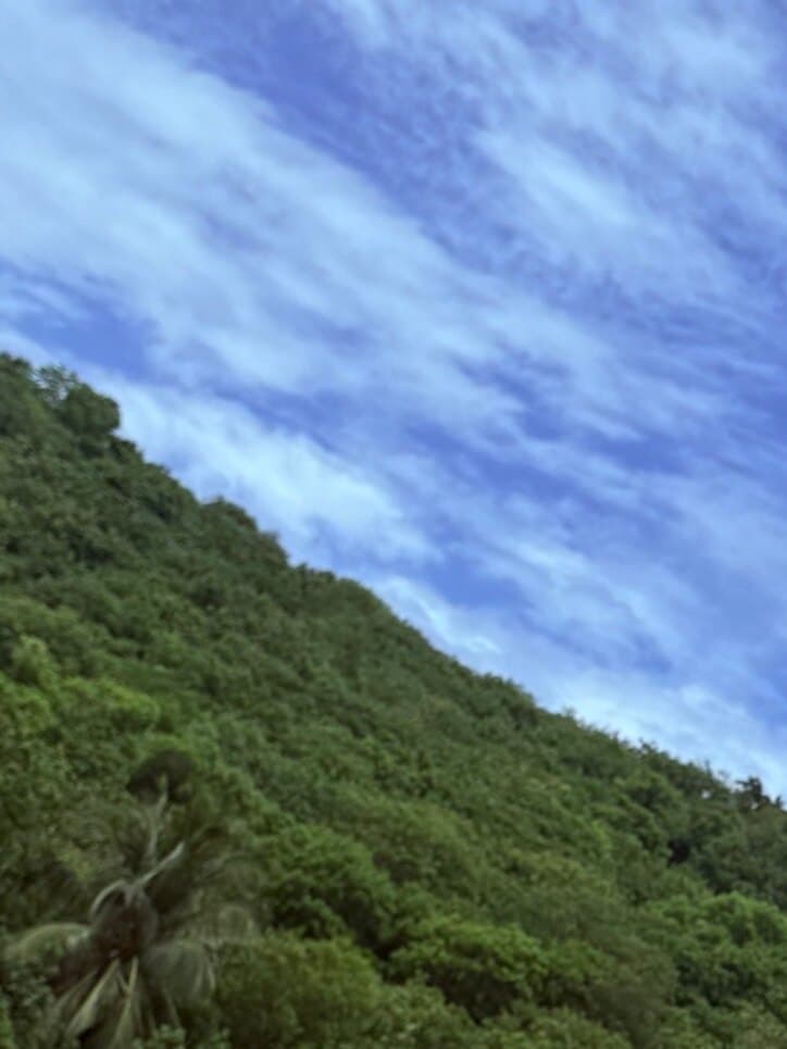 Jessi banner image
