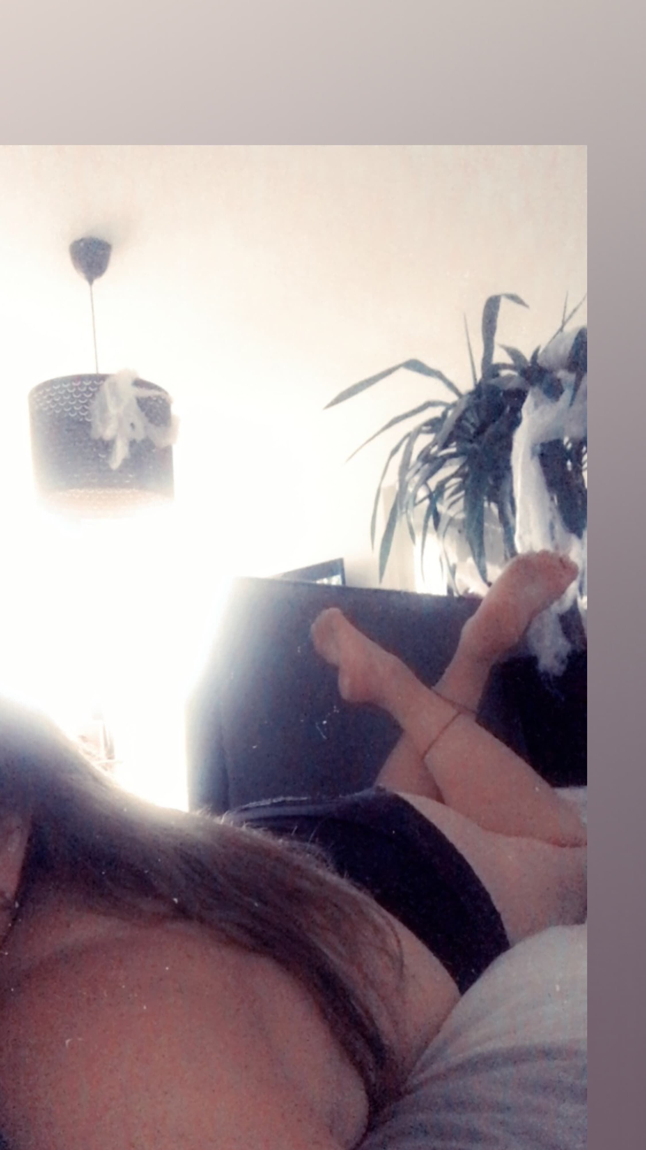Miss_Norrland banner image