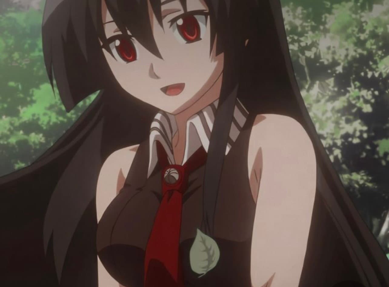 Petitelatinaaa banner image