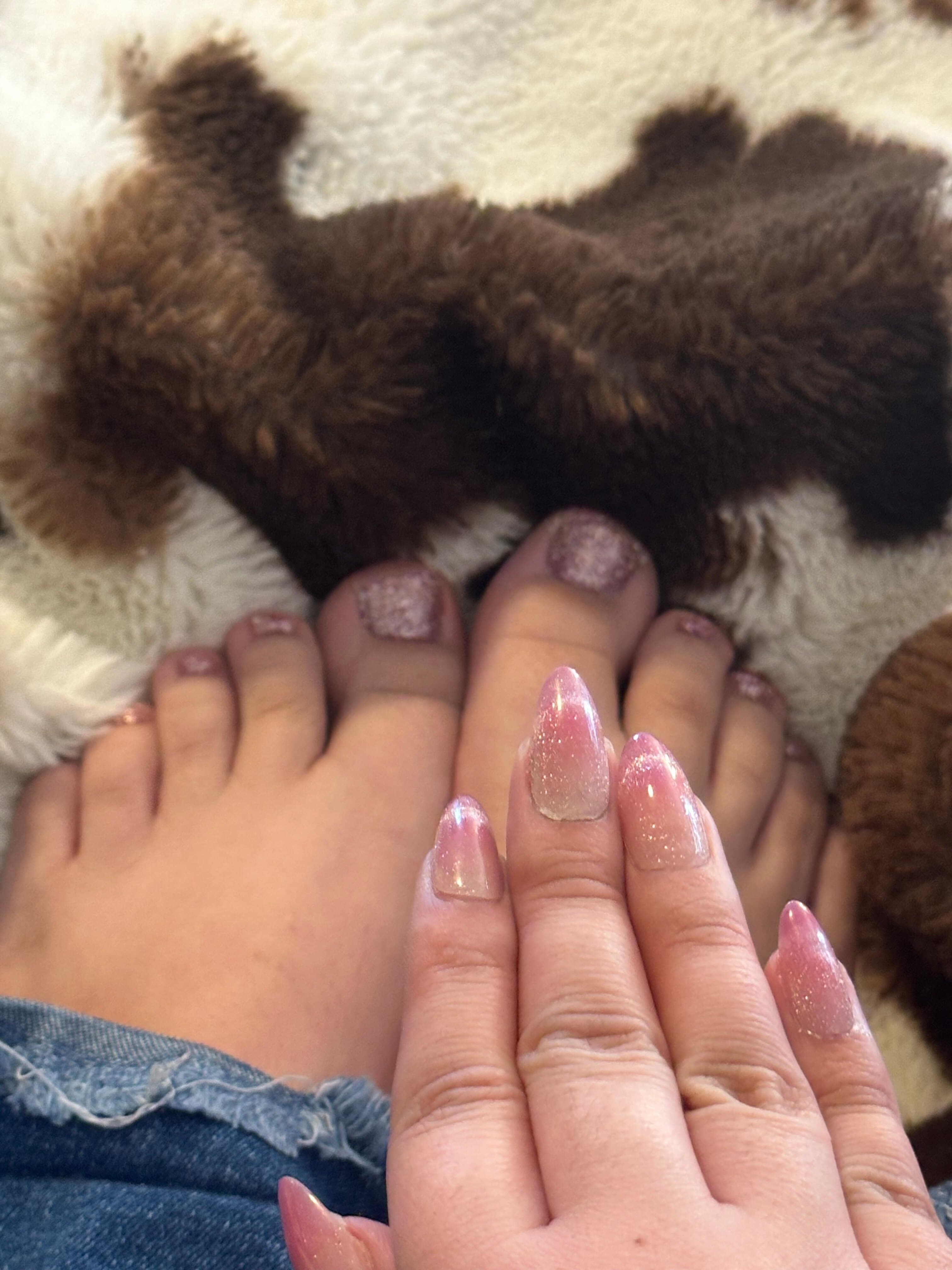 Countrygirls banner image