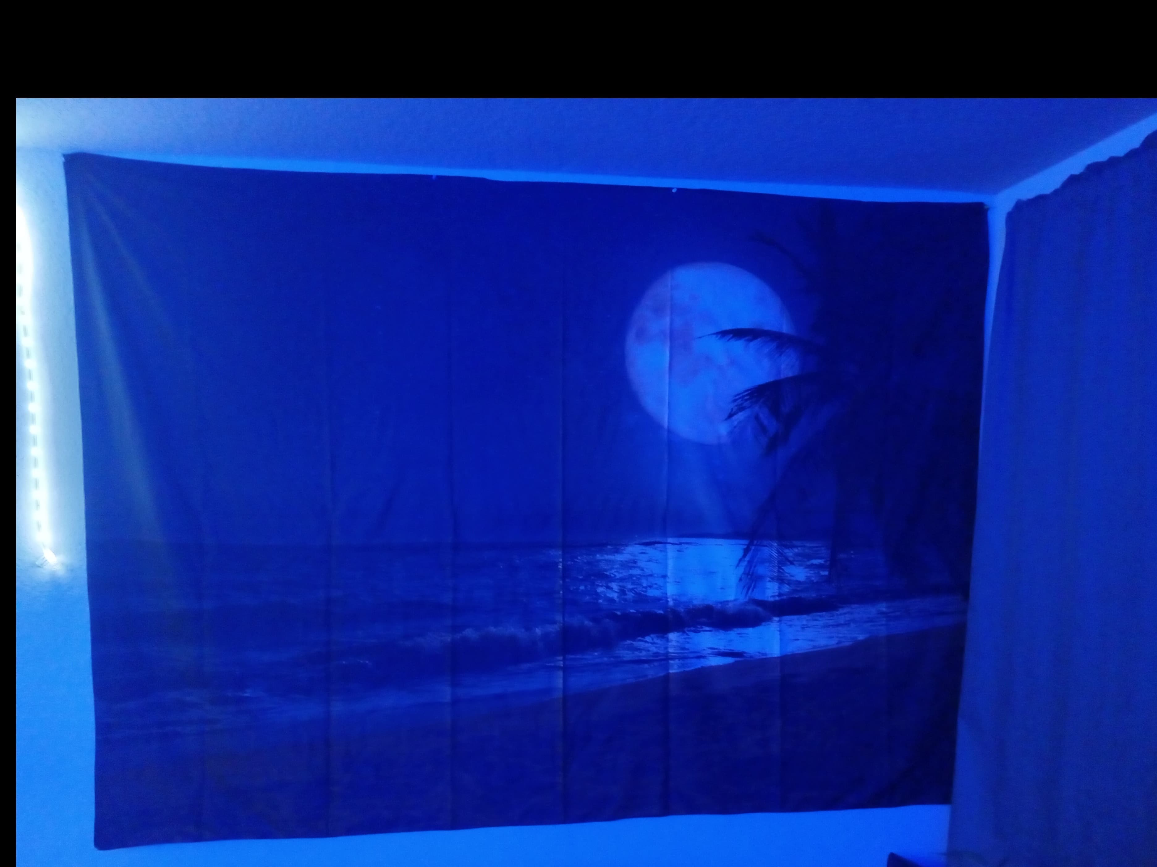 Six10andTacoXXX banner image