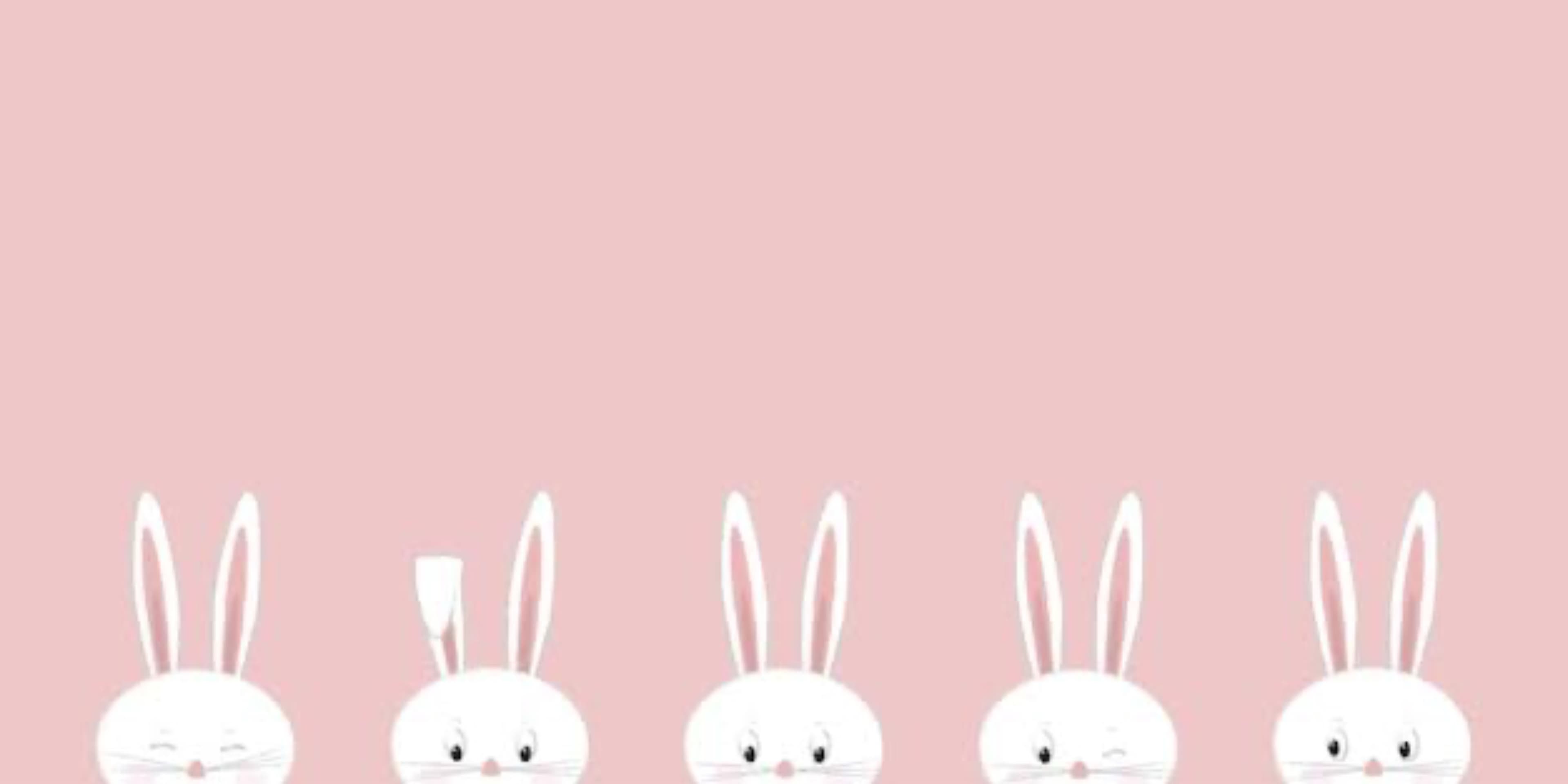 Bunny Toes xo banner image
