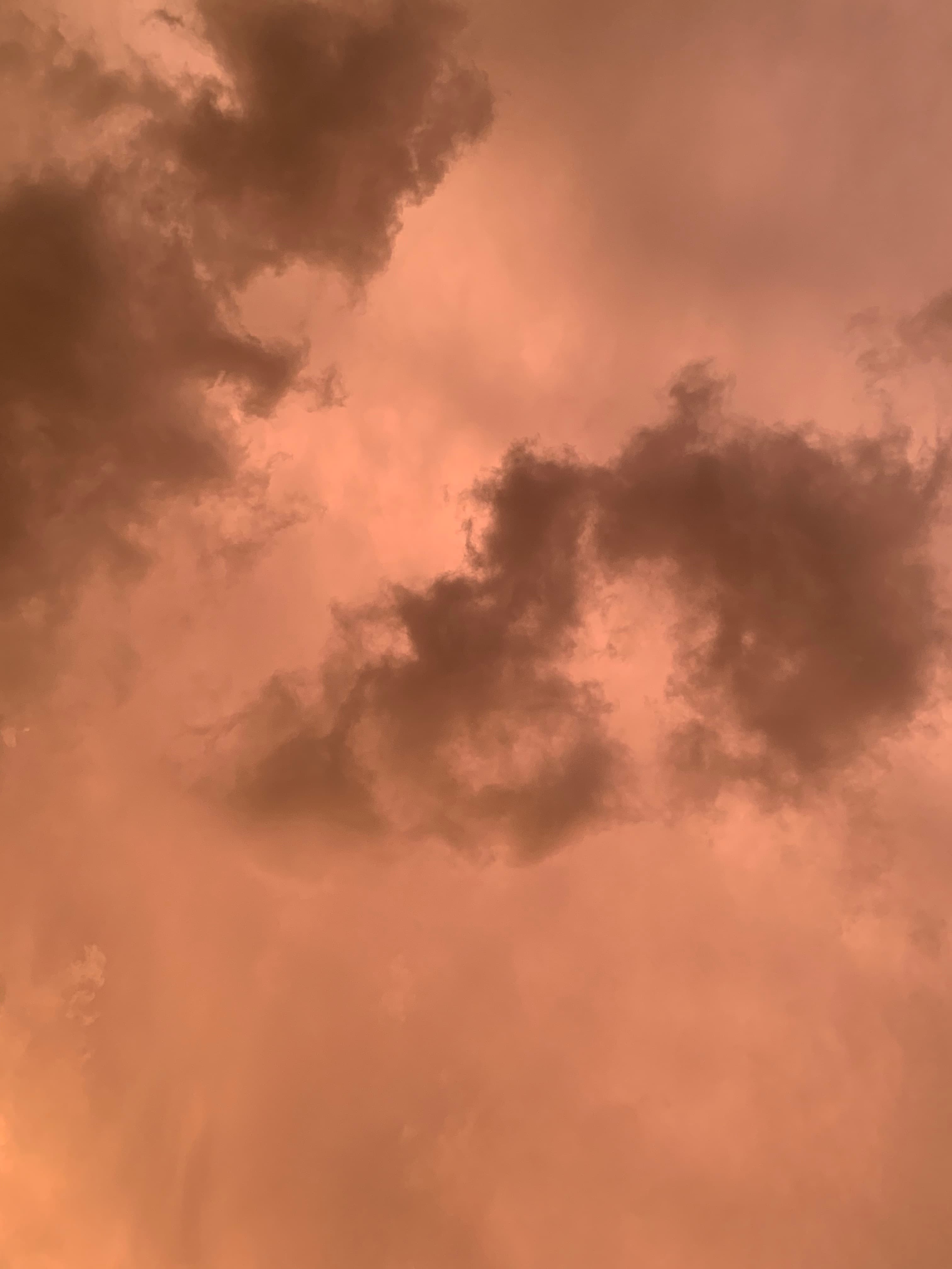 Venus banner image