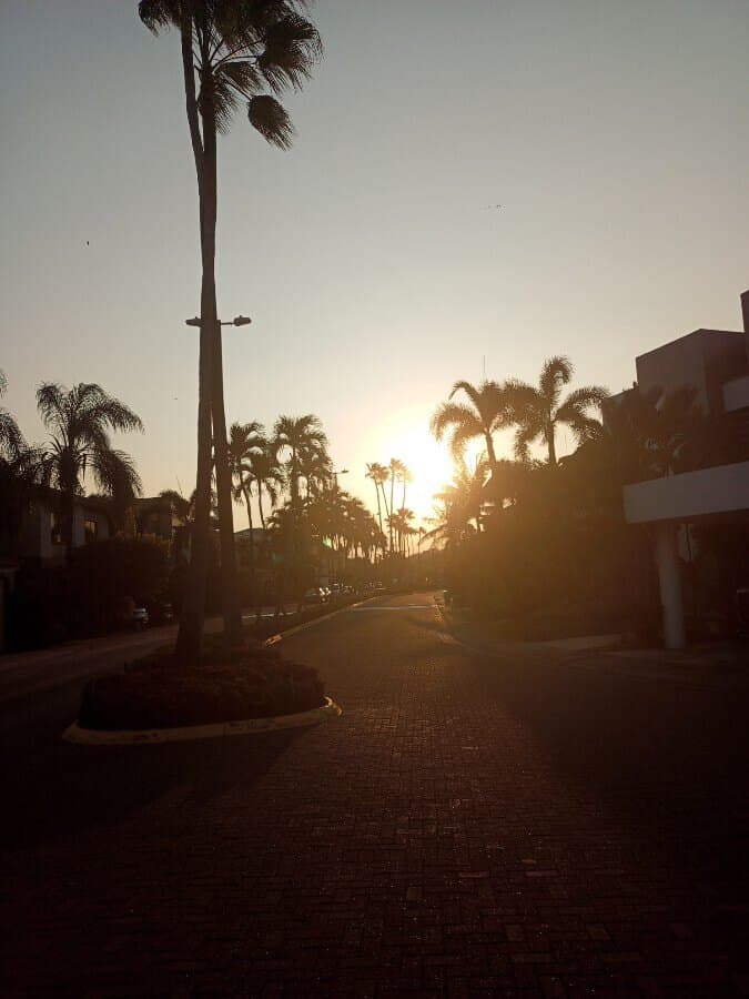 El Rey Biling banner image