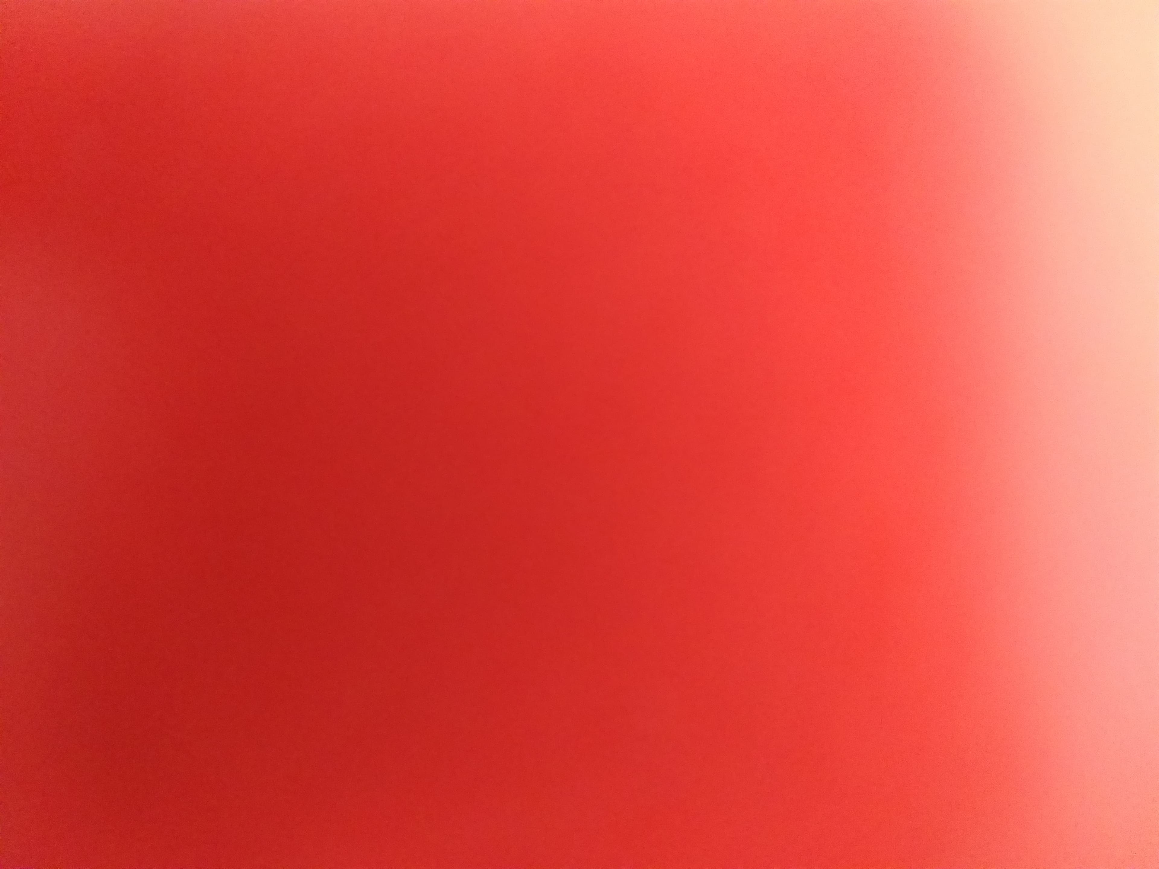 AndreaTorres banner image