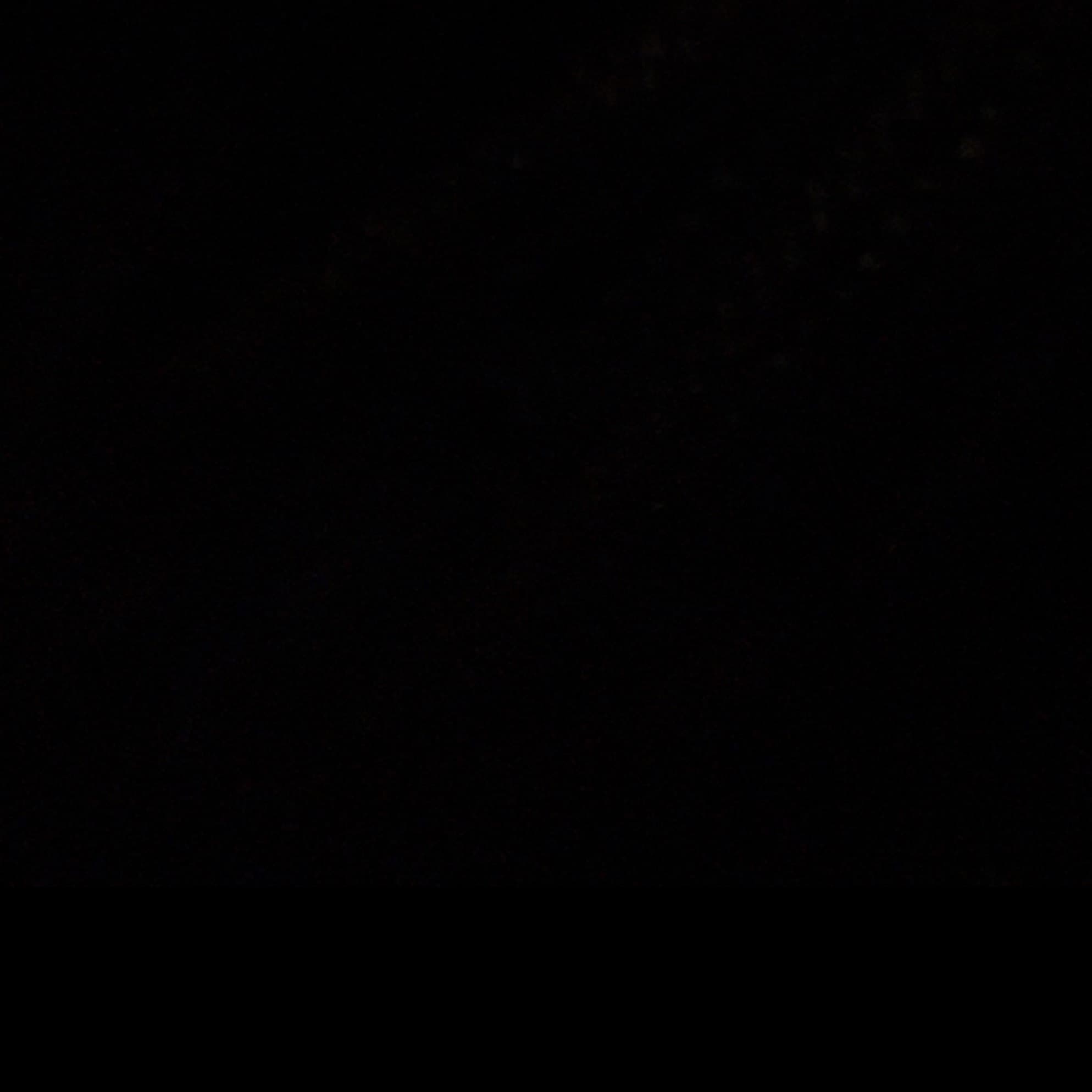 Kiwi banner image