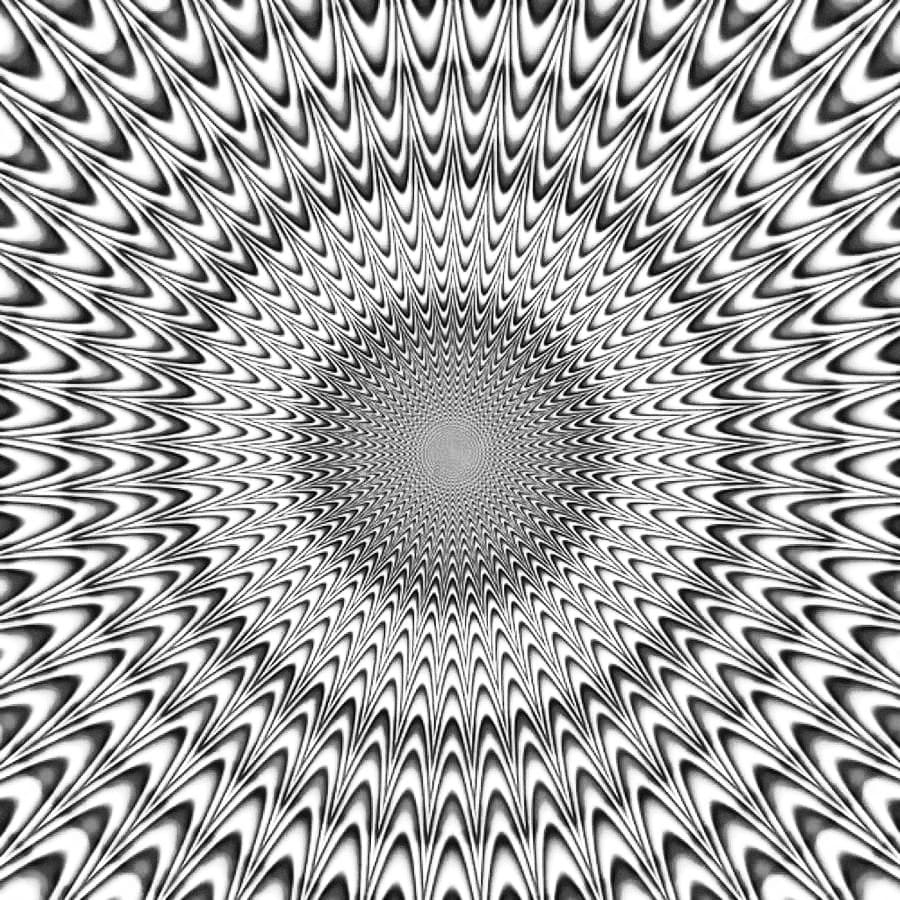 πππππ πππππ banner image