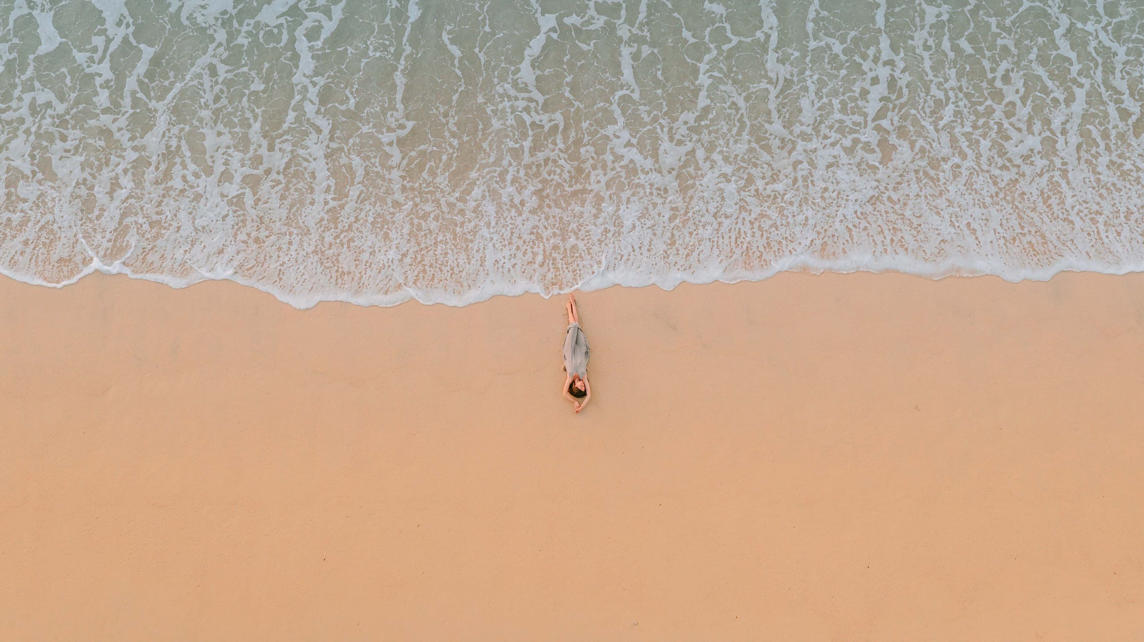◊ Hayley ◊ banner image