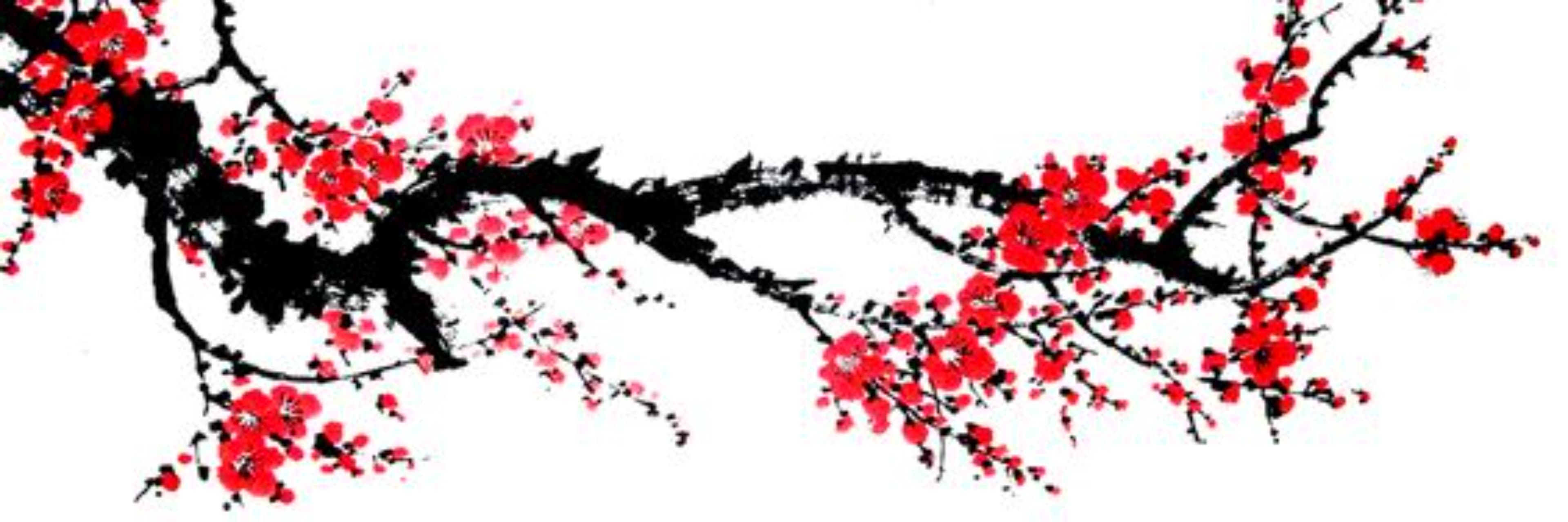 Wolfyettina banner image
