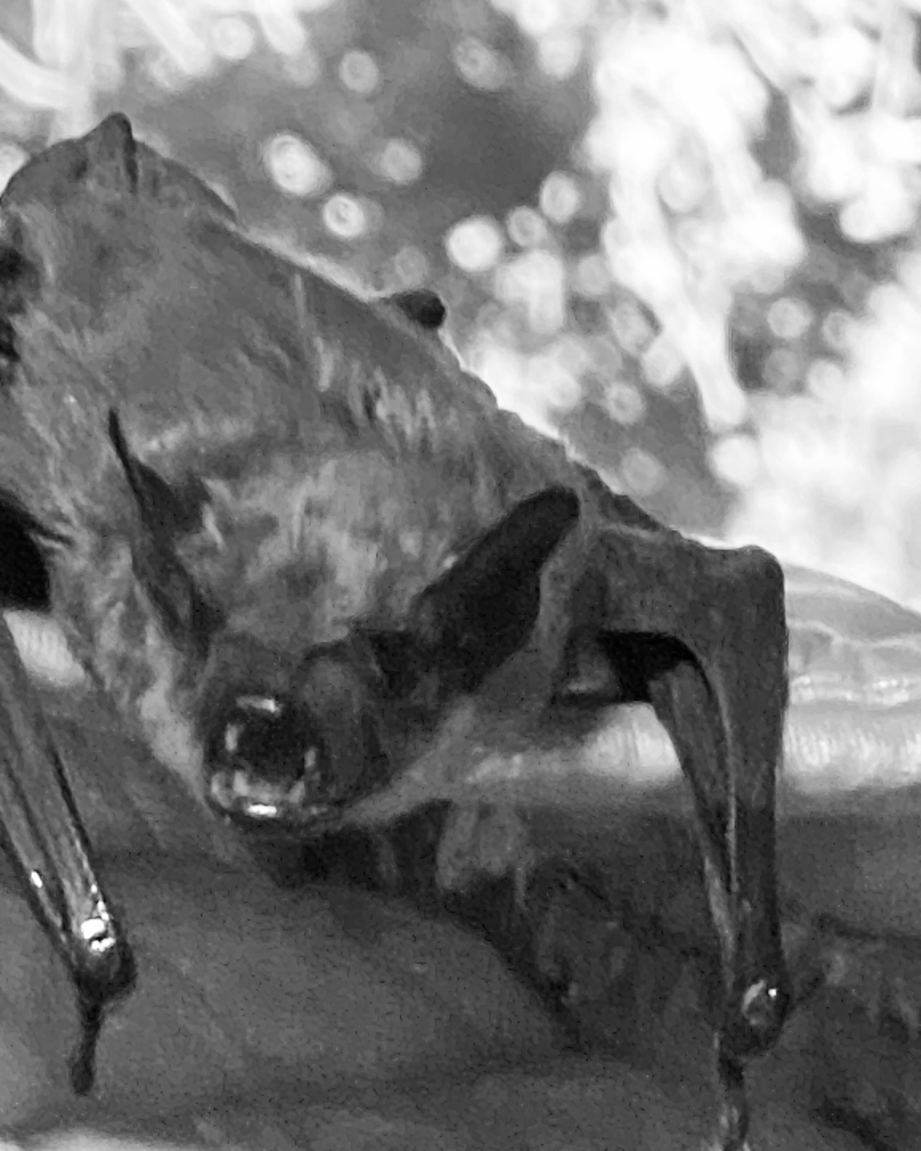 MadVampxx banner image