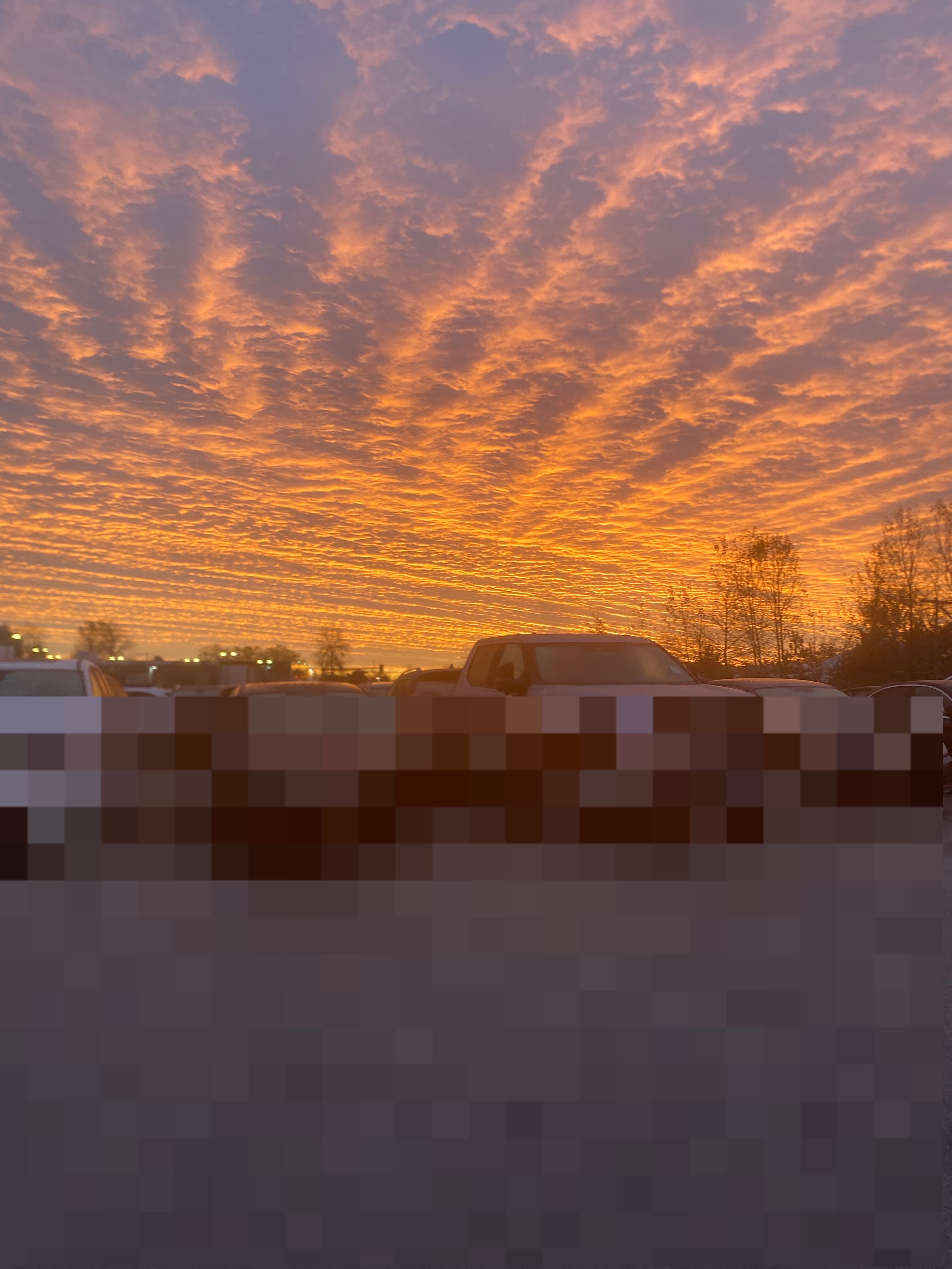 Odub banner image