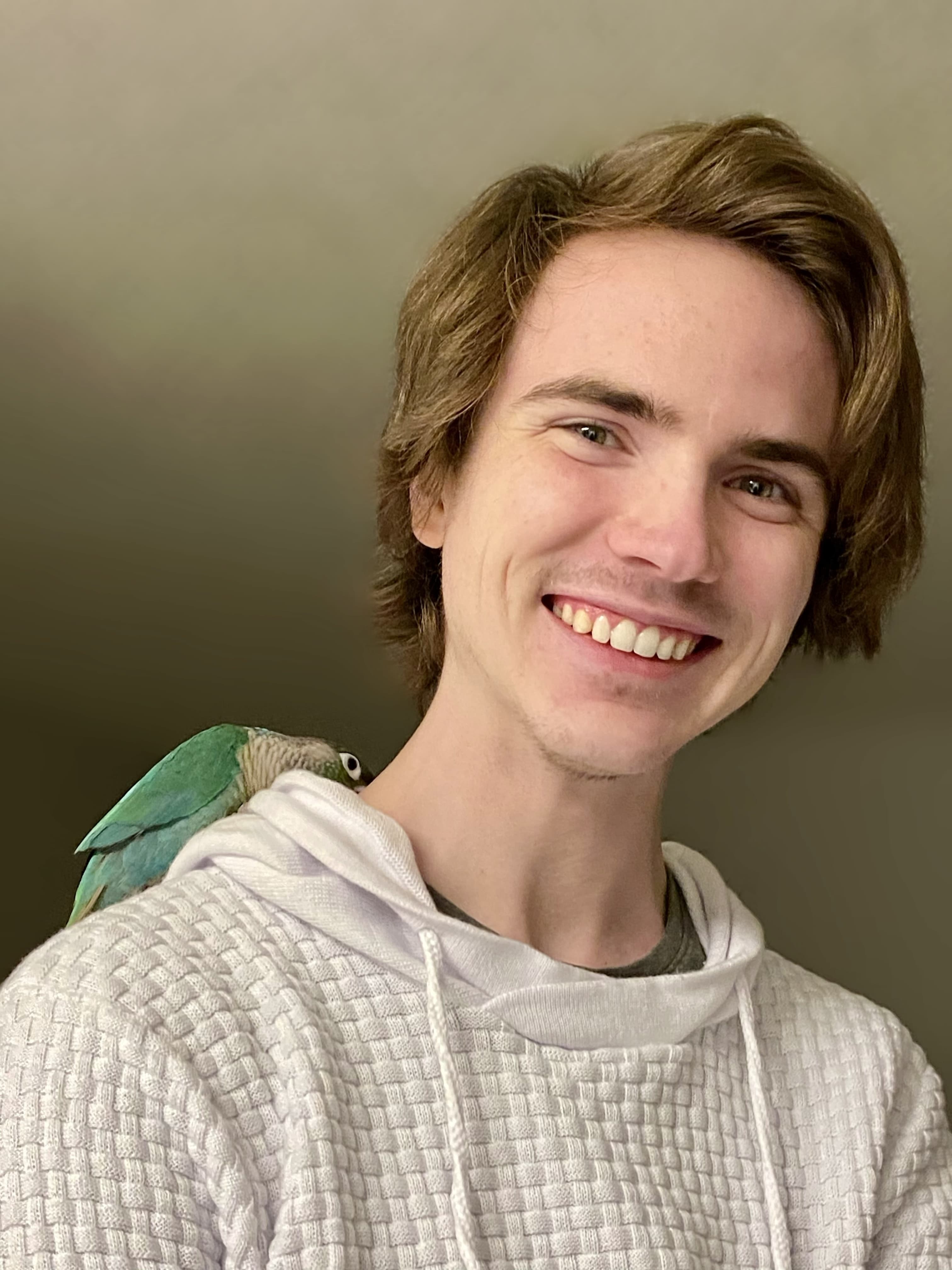 Nico Johnson banner image
