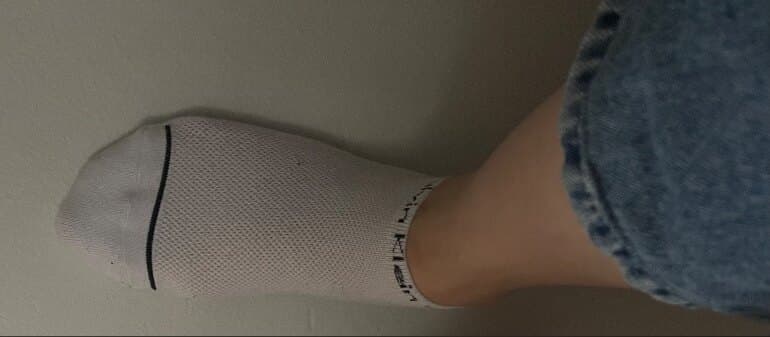 Sebastiana banner image