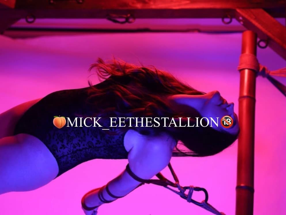 Mick-E the Stallion banner image