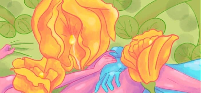 PollyAnnie banner image