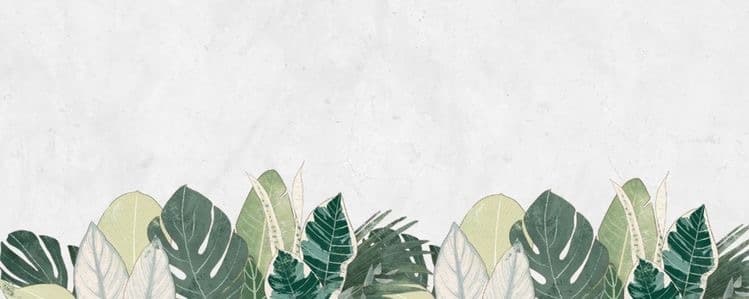 Lexi Bell banner image