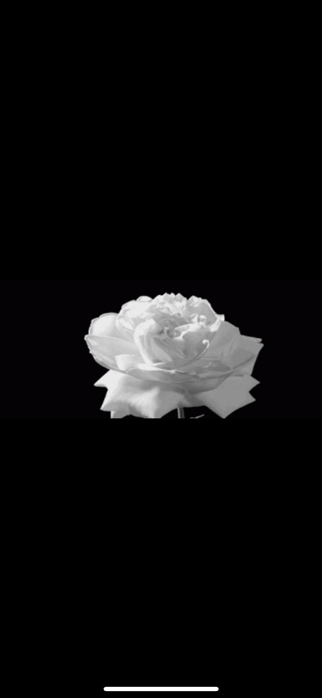 MrChocolate92 banner image