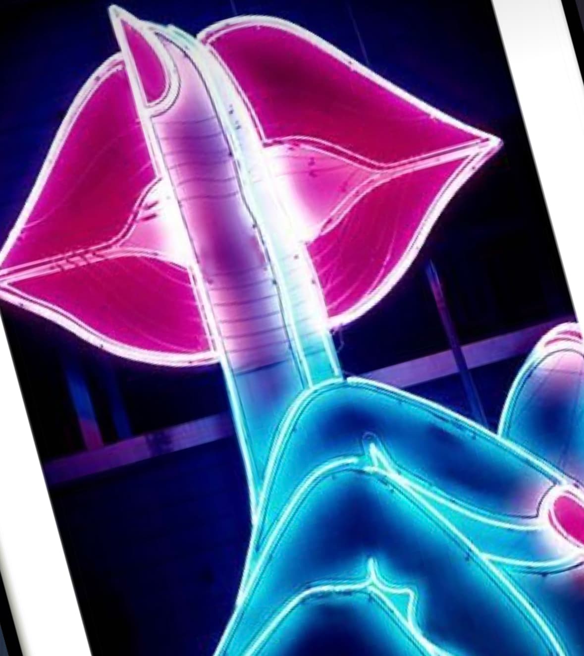 Ginger_sailz banner image
