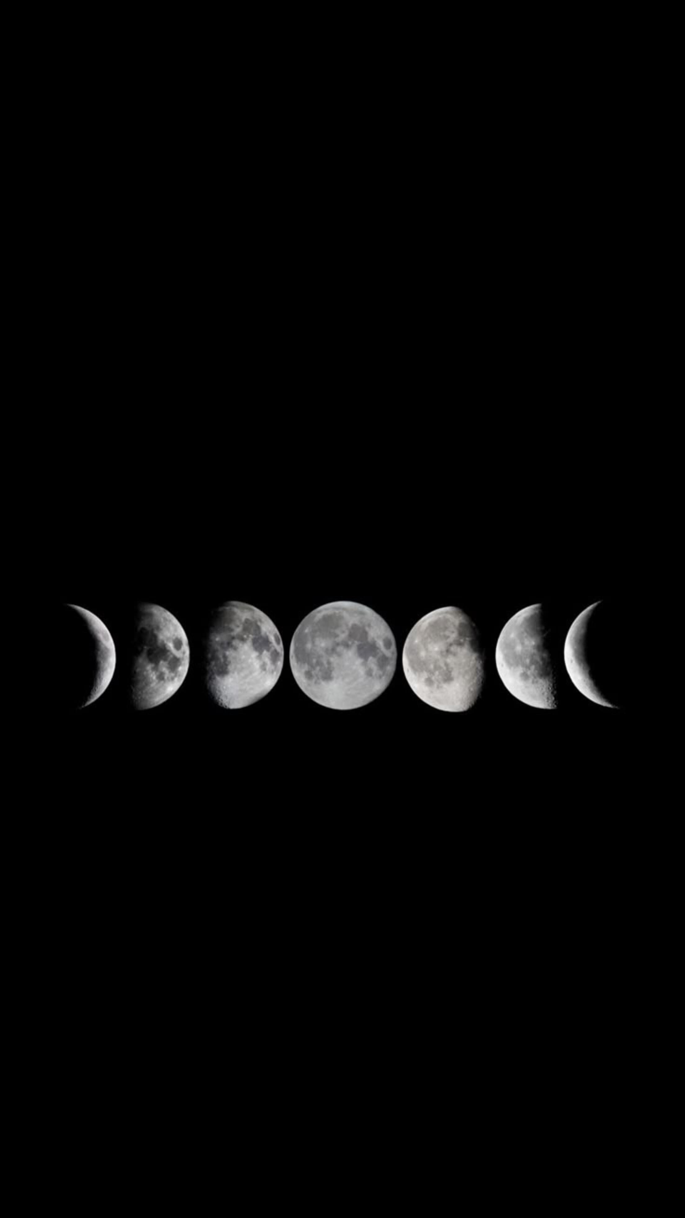 Moon🌕 banner image