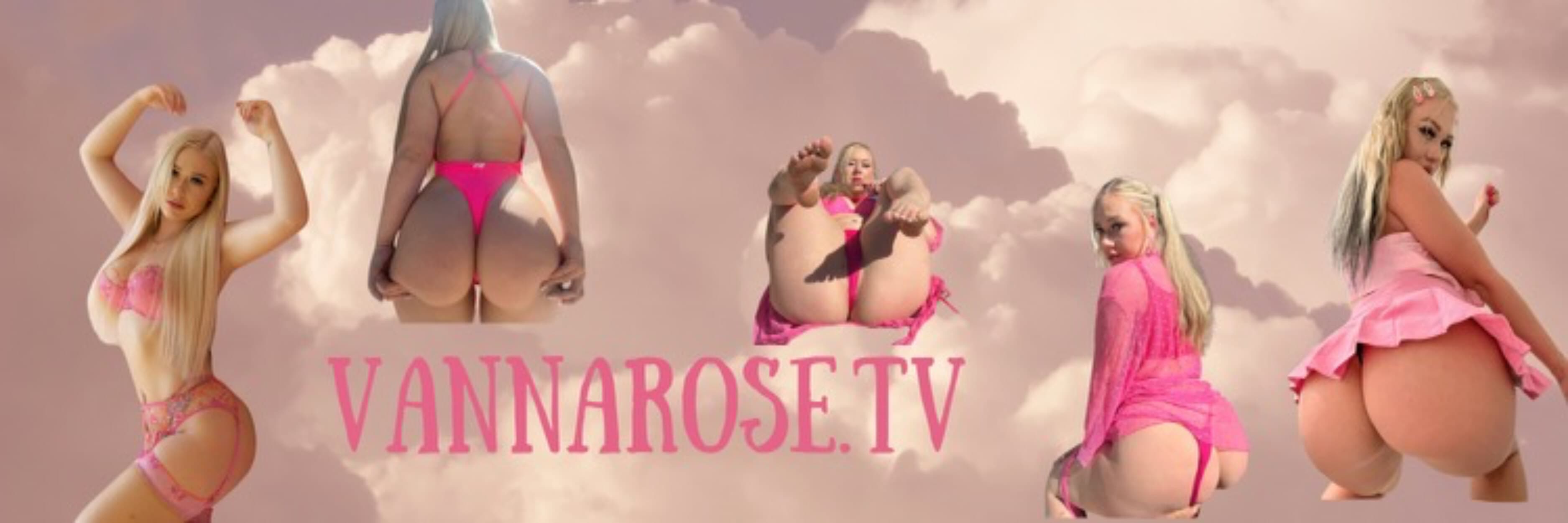 Vannarose banner image