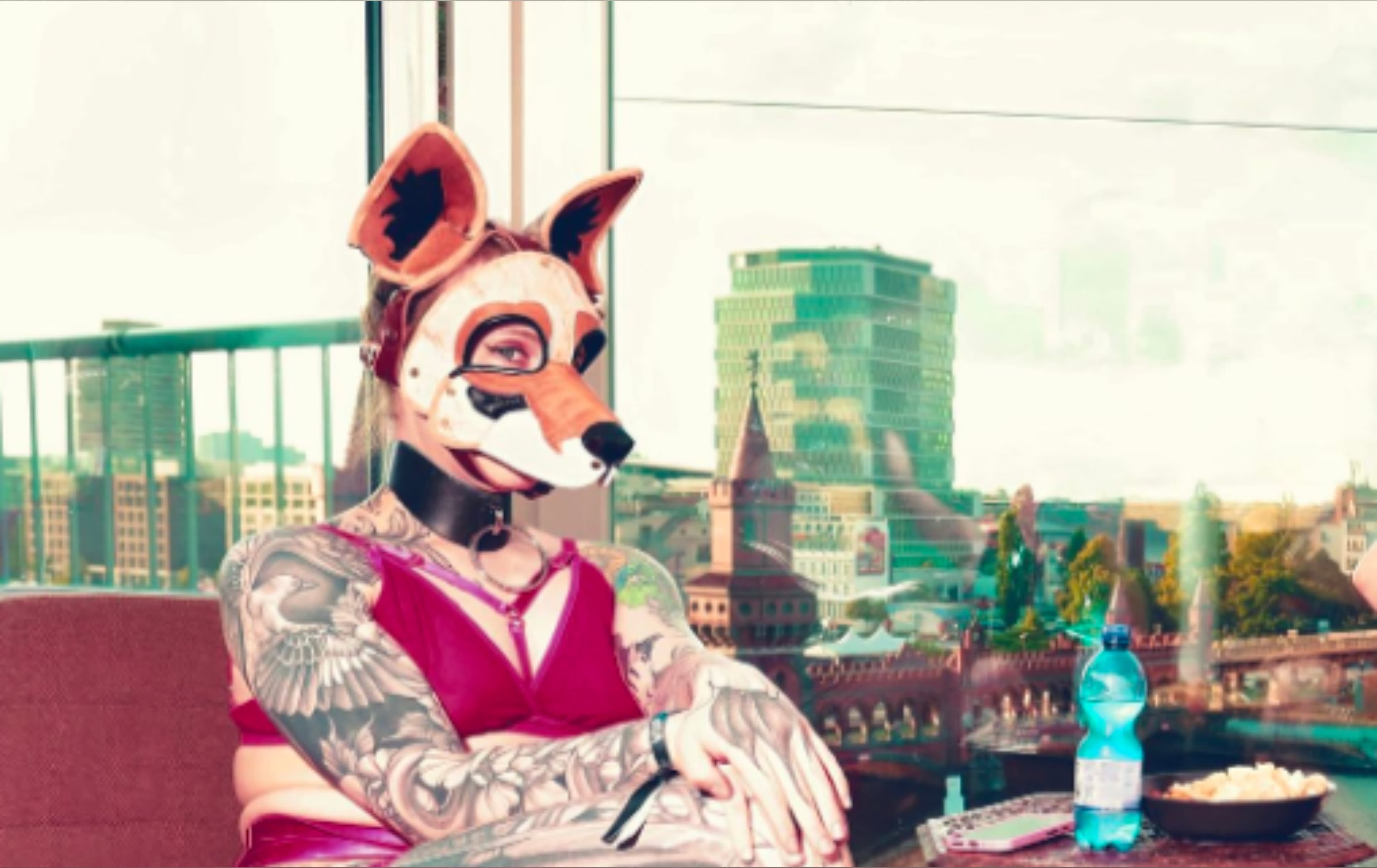 Calliope the Coyote🏳️⚧️ banner image