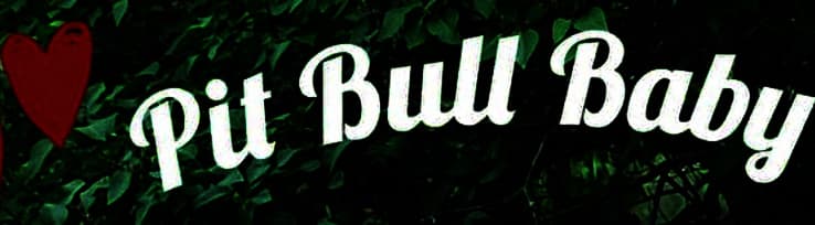 Pit Bull Baby banner image