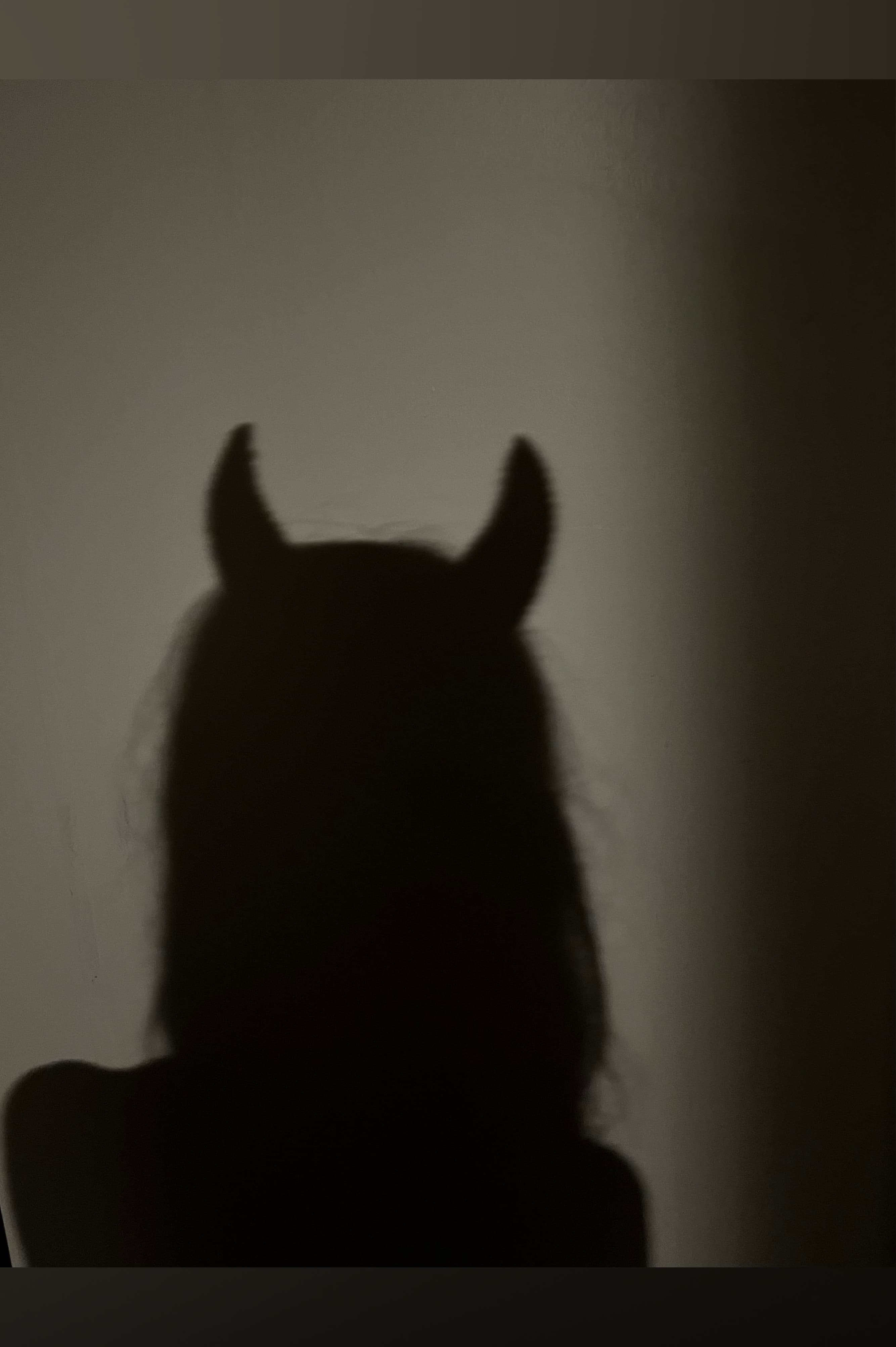 Darrah ☯️ ✨ banner image