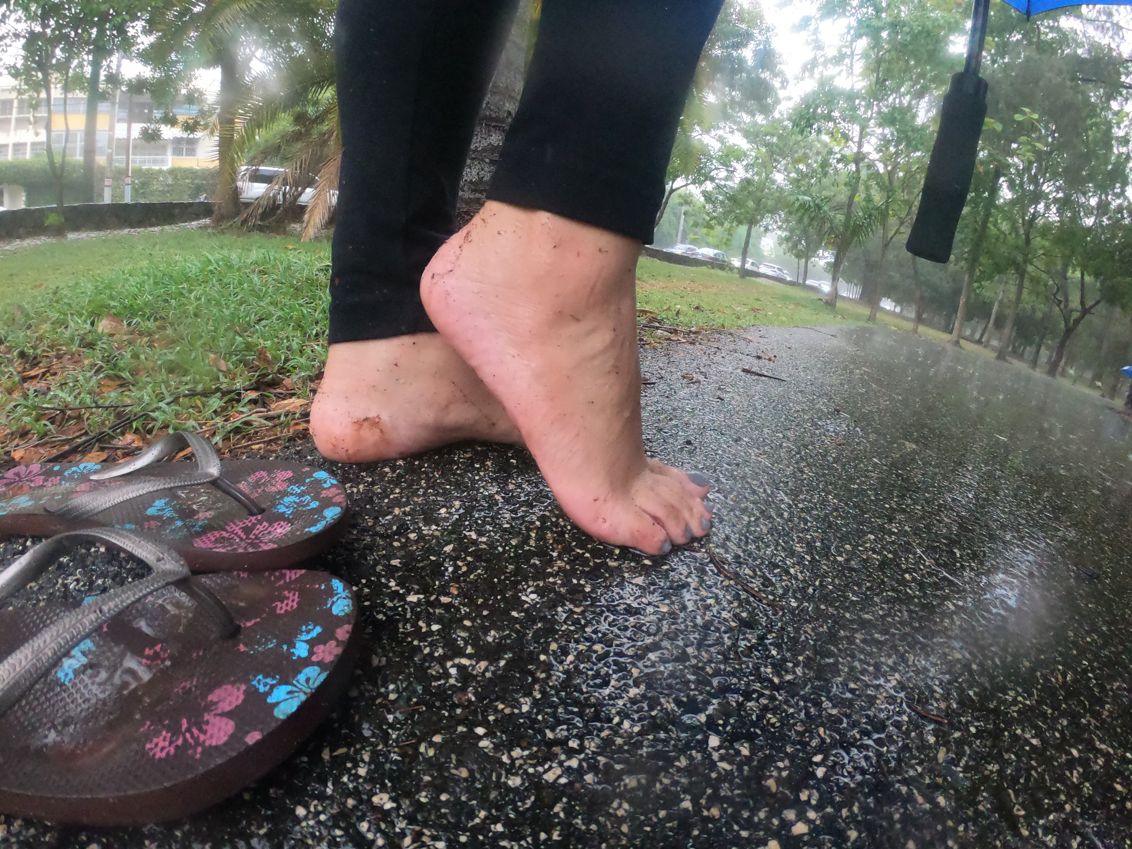 Caribbean Feet MH banner image