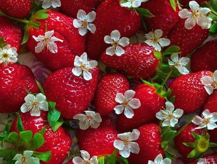 Strawberry Fairy ๐ banner image