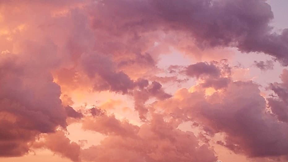 rain banner image