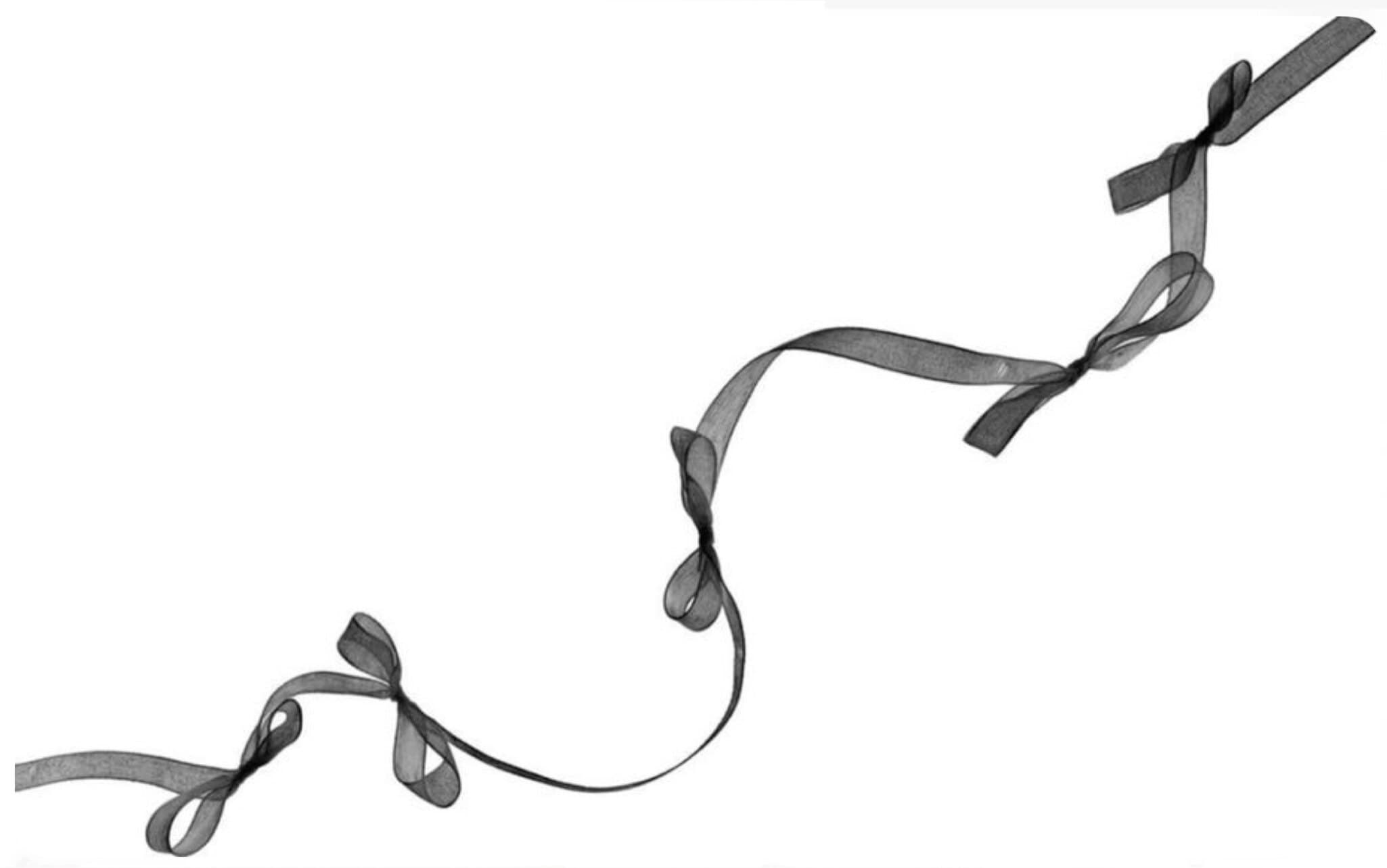 Dazzalingdiva banner image