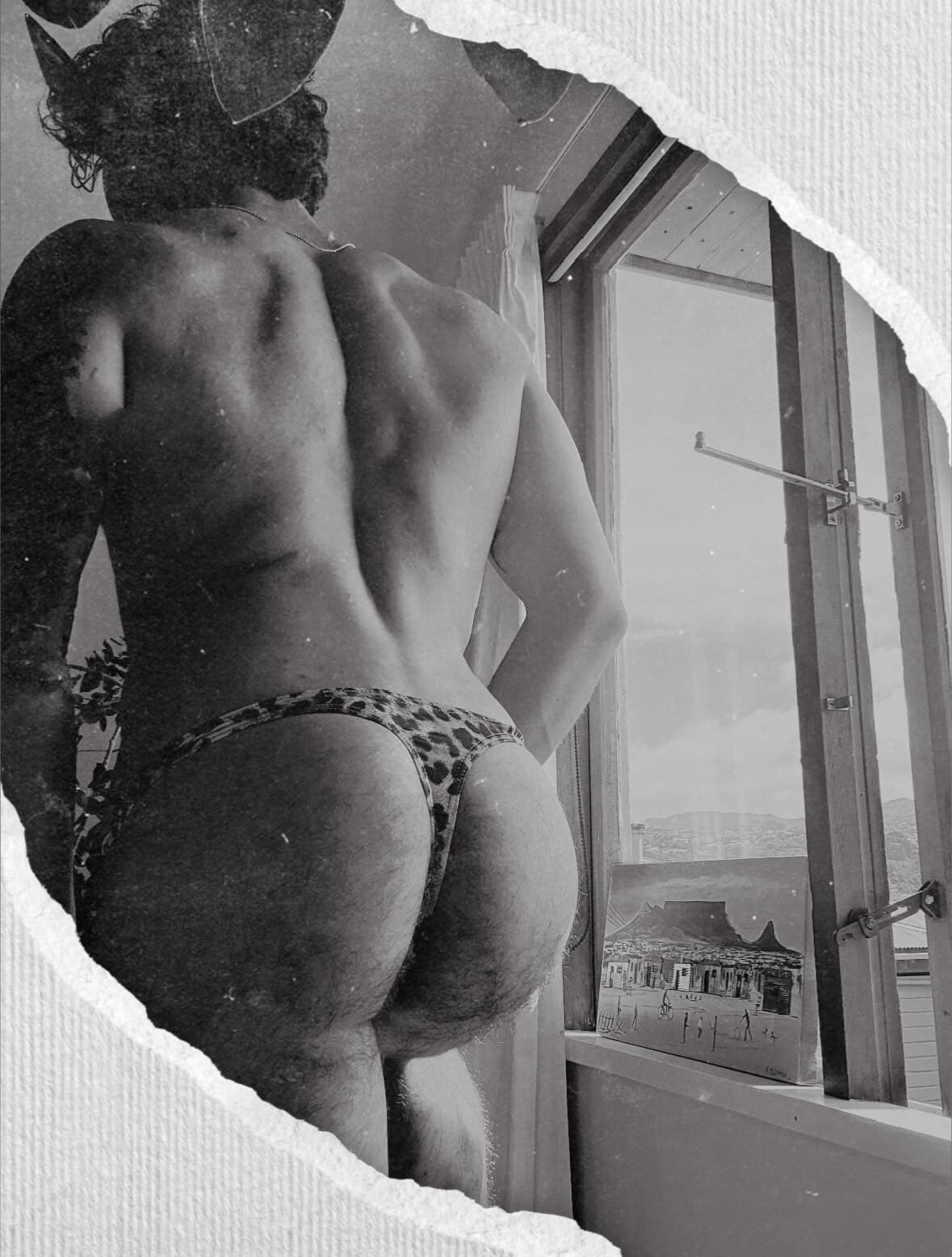 Carter Cardei banner image